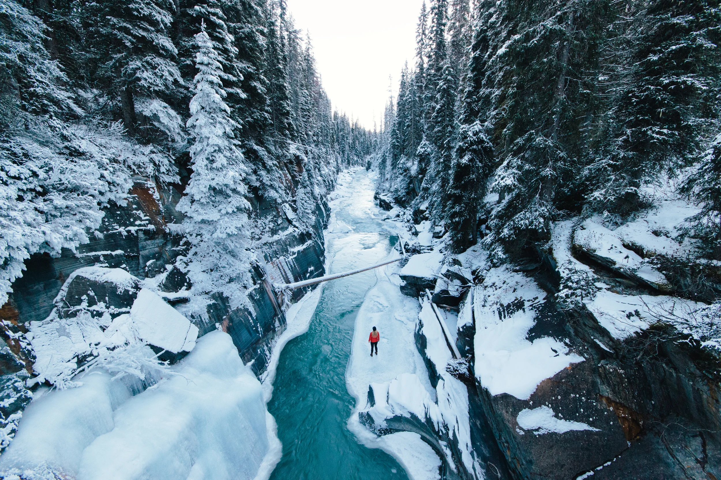Print - Alley Of A View