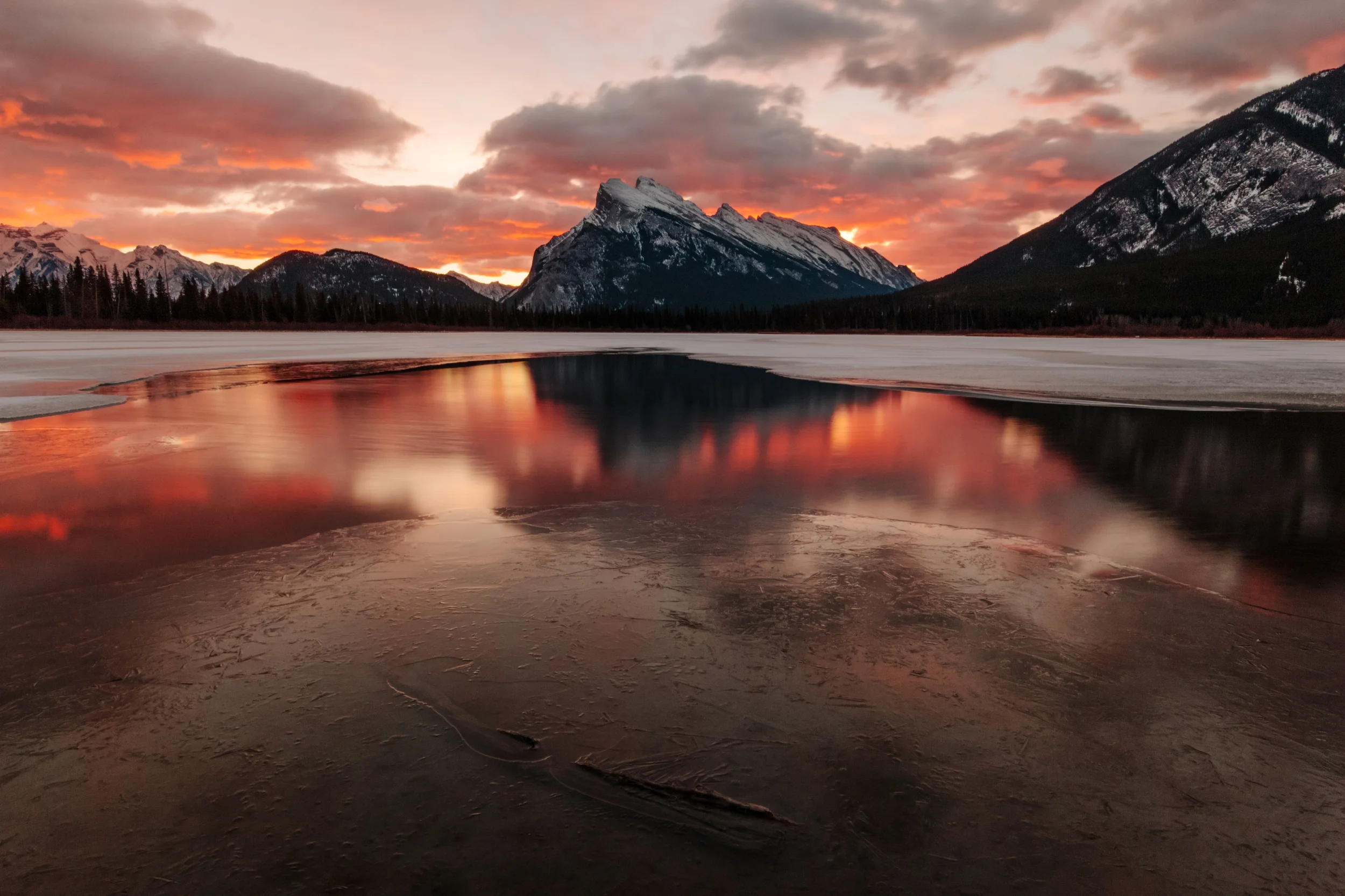 Print - Rise and Shine