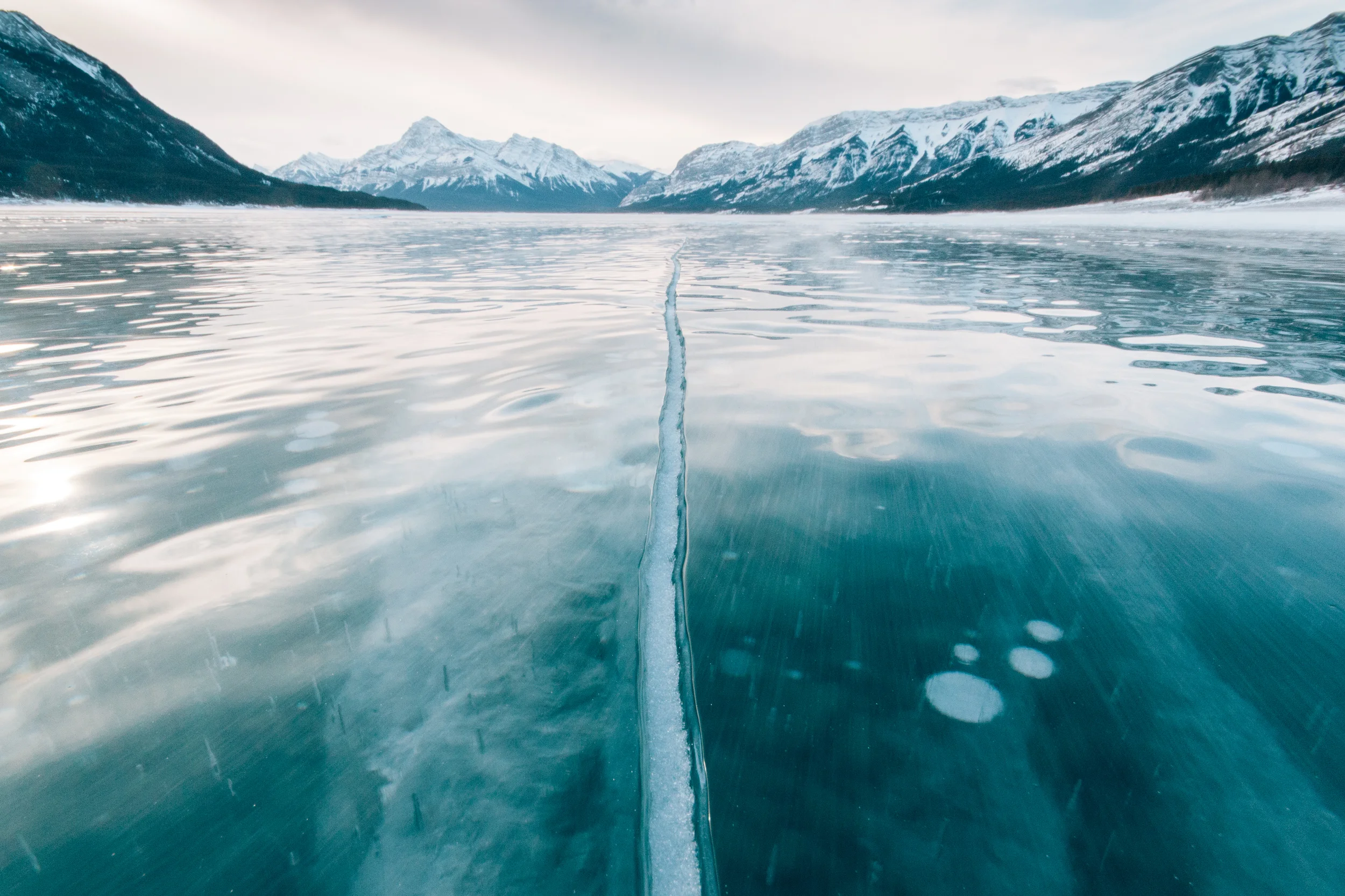 Print - Tread Lightly