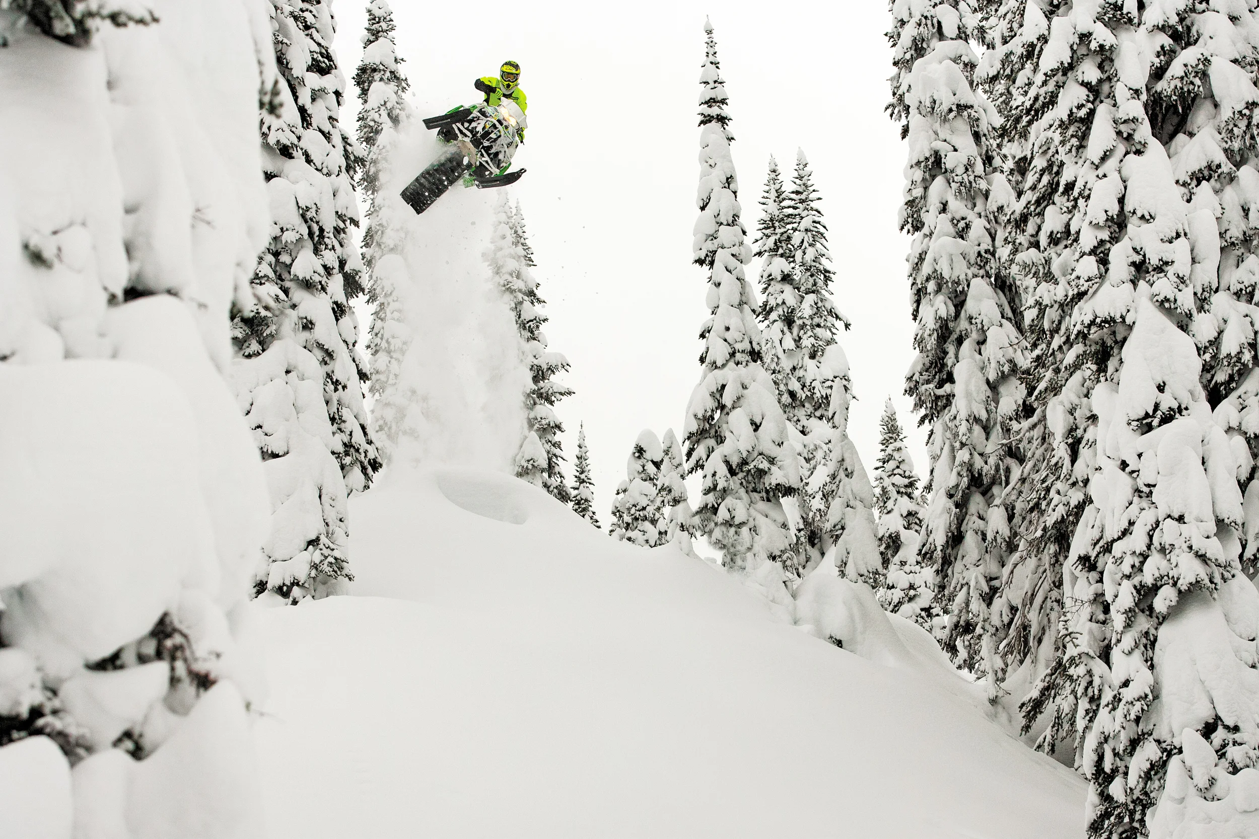 Print - Threading The Needle