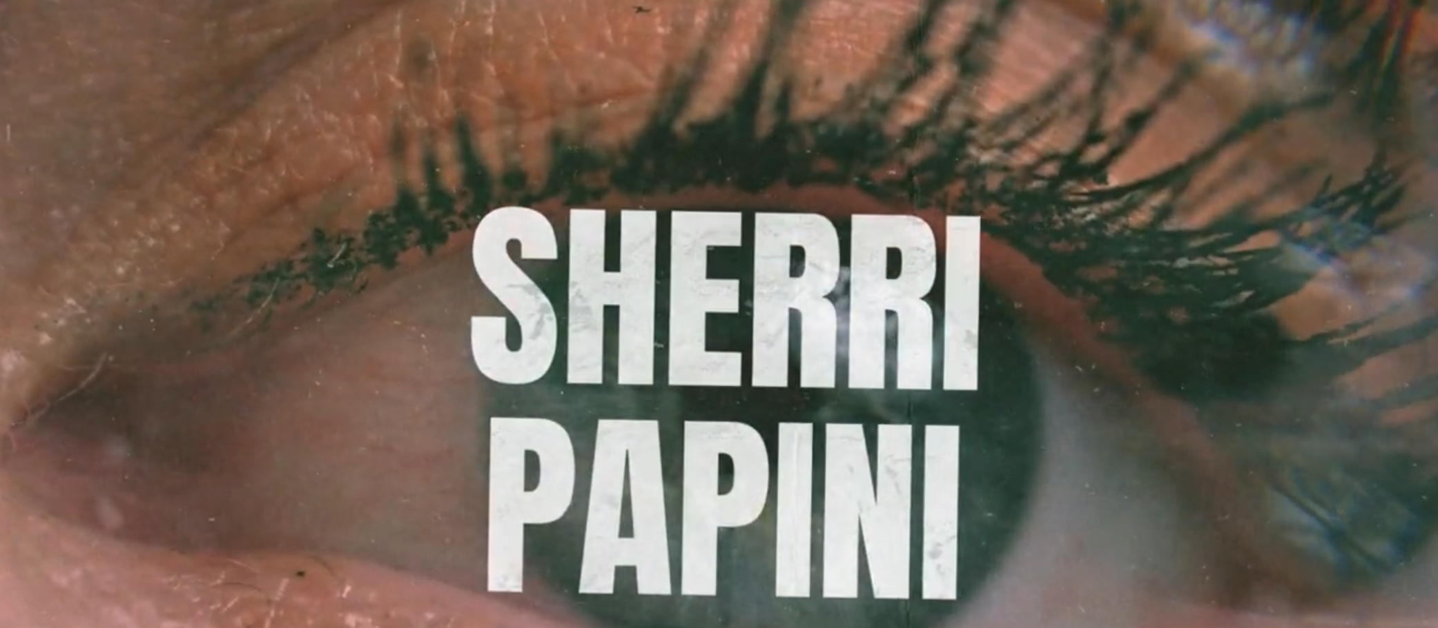 Sherri Papini Series Graphics