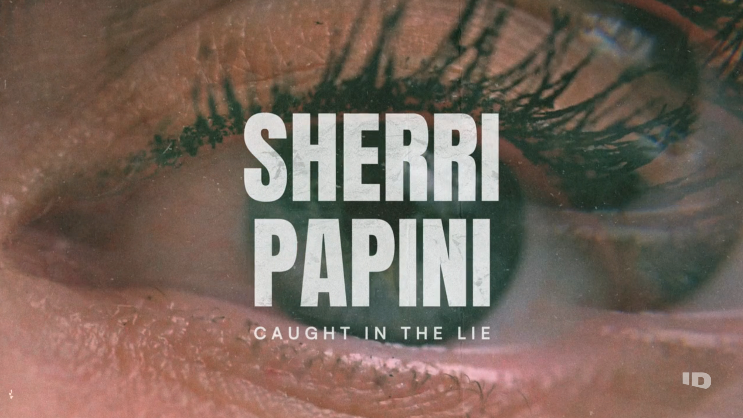 Sherri Papini Series Graphics