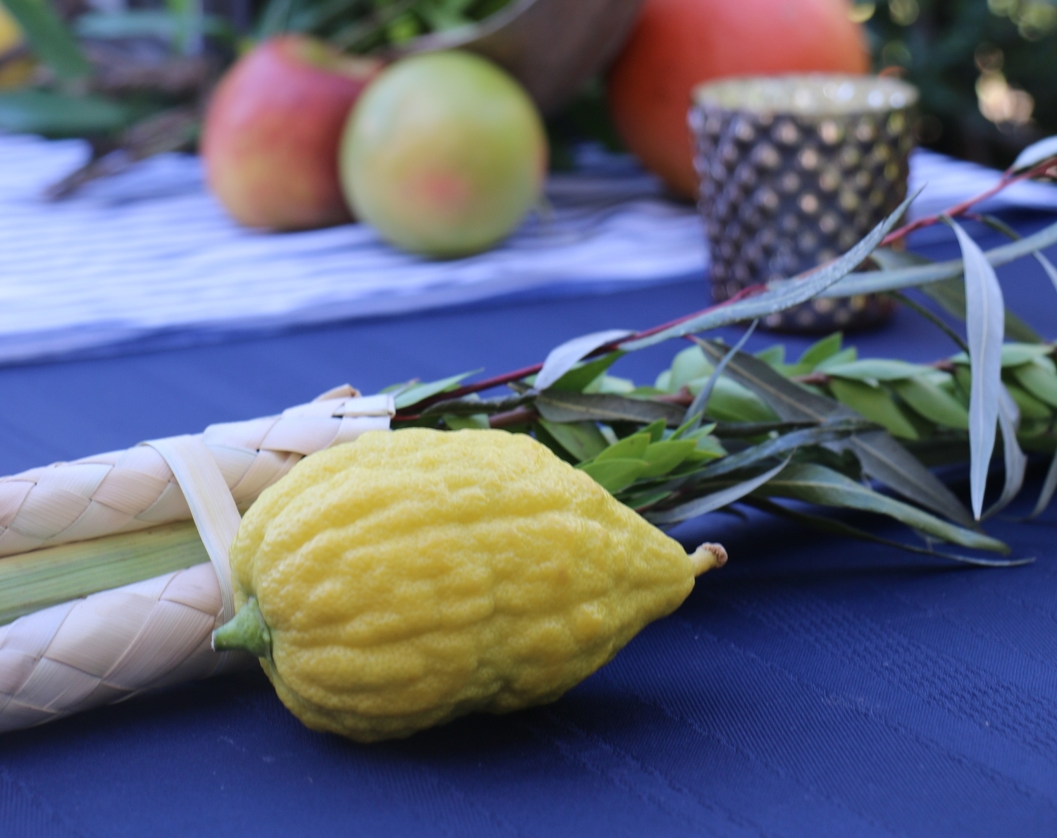 The Lulav and Etrog