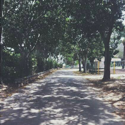 Kfar Silver walkway.jpg