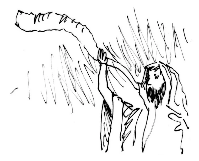 Illustration provided by Ray Hart