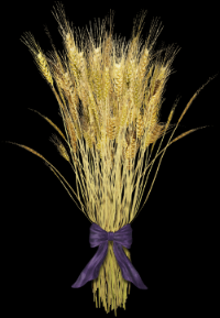 Counting the Omer to the Day of Pentecost