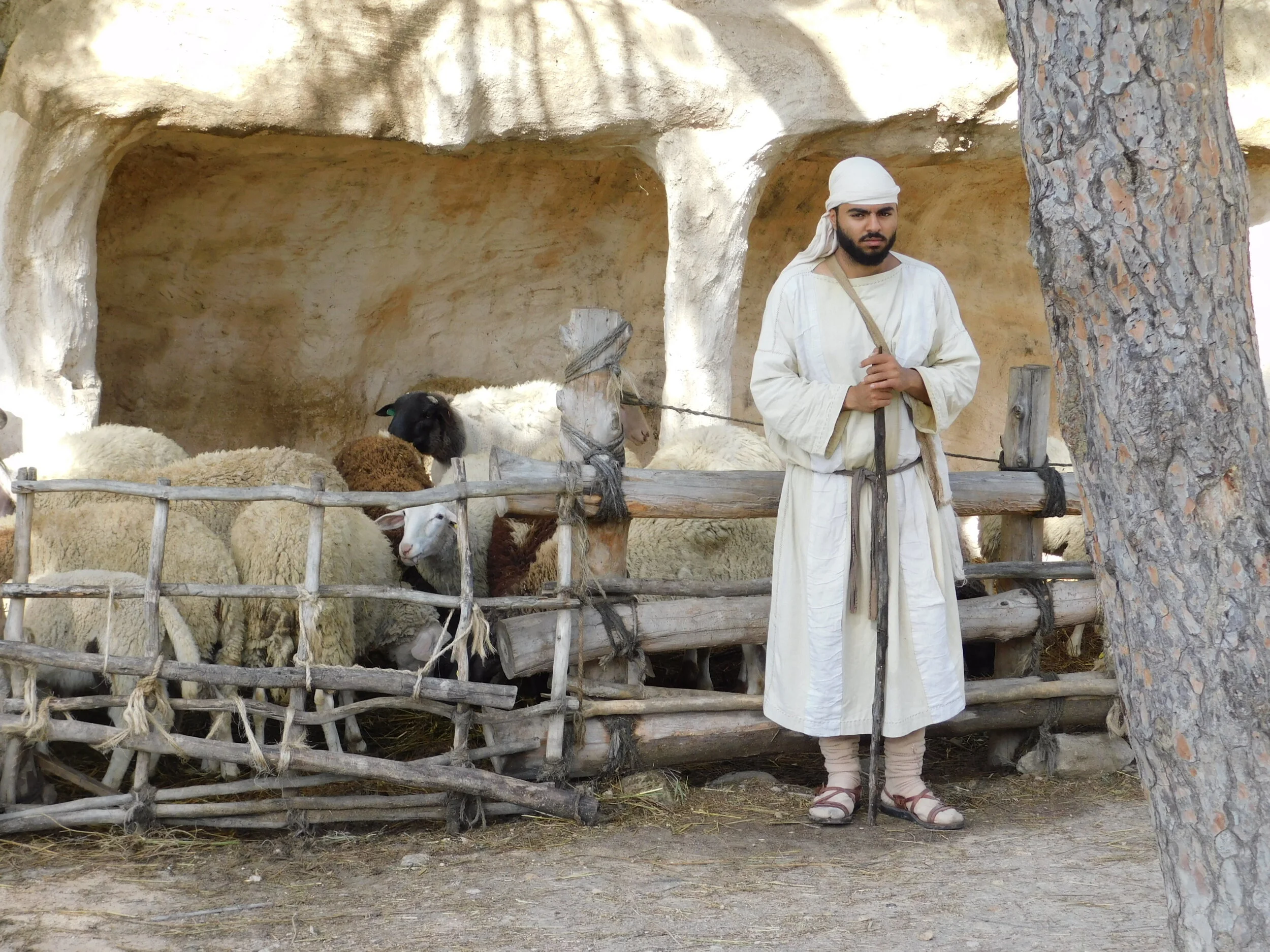 Nazareth and the Shoot of Jesse