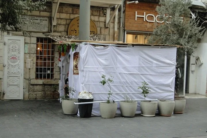 100523_380 cropped.JPG