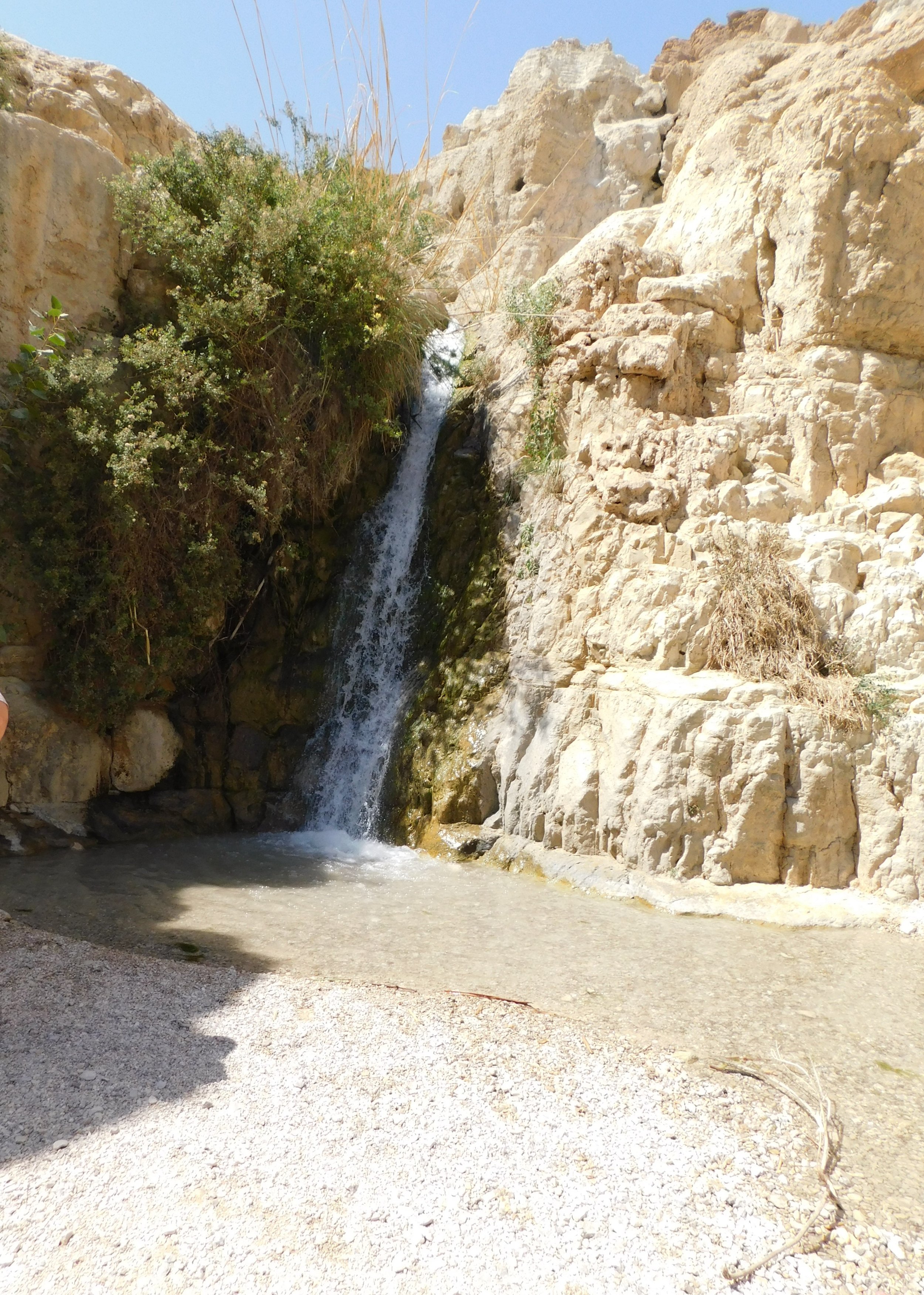 Ein Gedi cropped.JPG