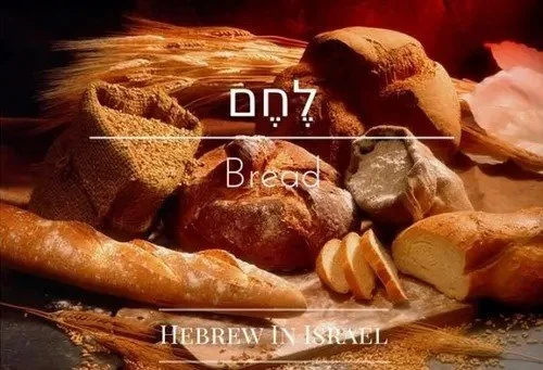 Yeshua (Jesus) is The Bread of Life!