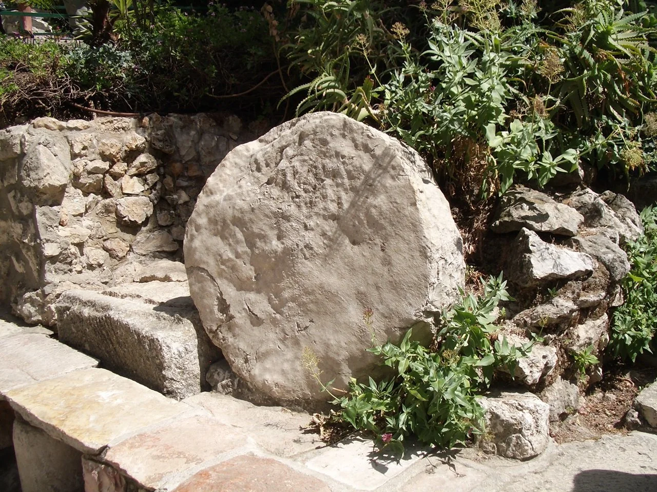 A Few Spots for our May 2026 Tour have Opened Up