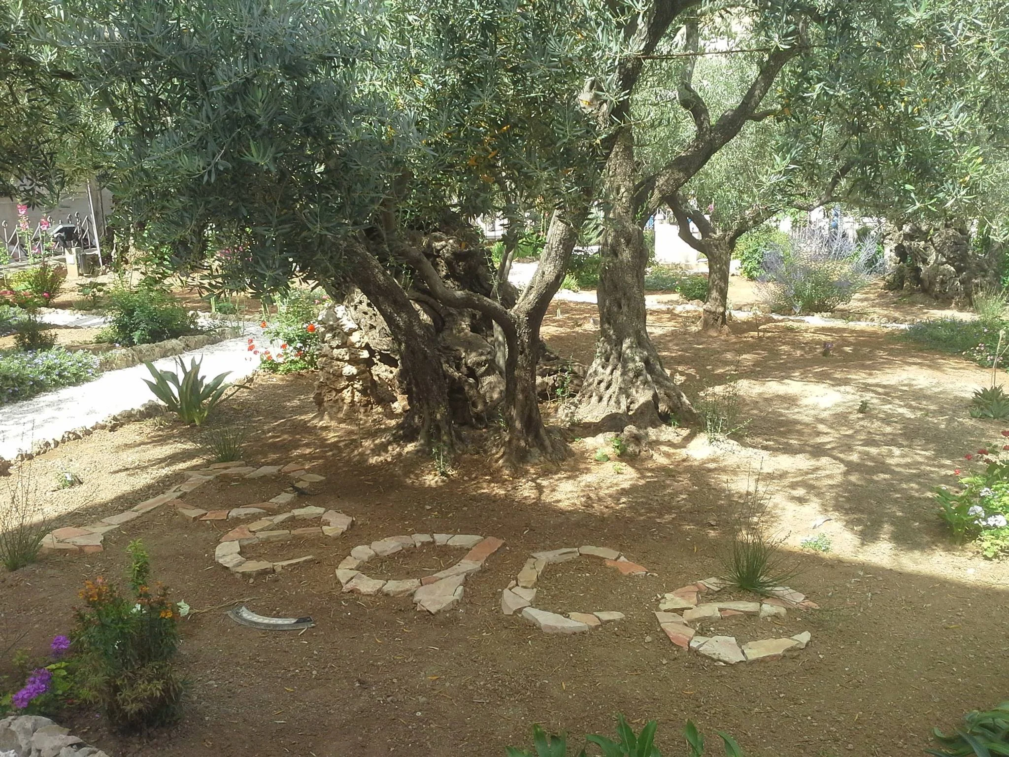 Garden of Gethsemene PEACE.jpg