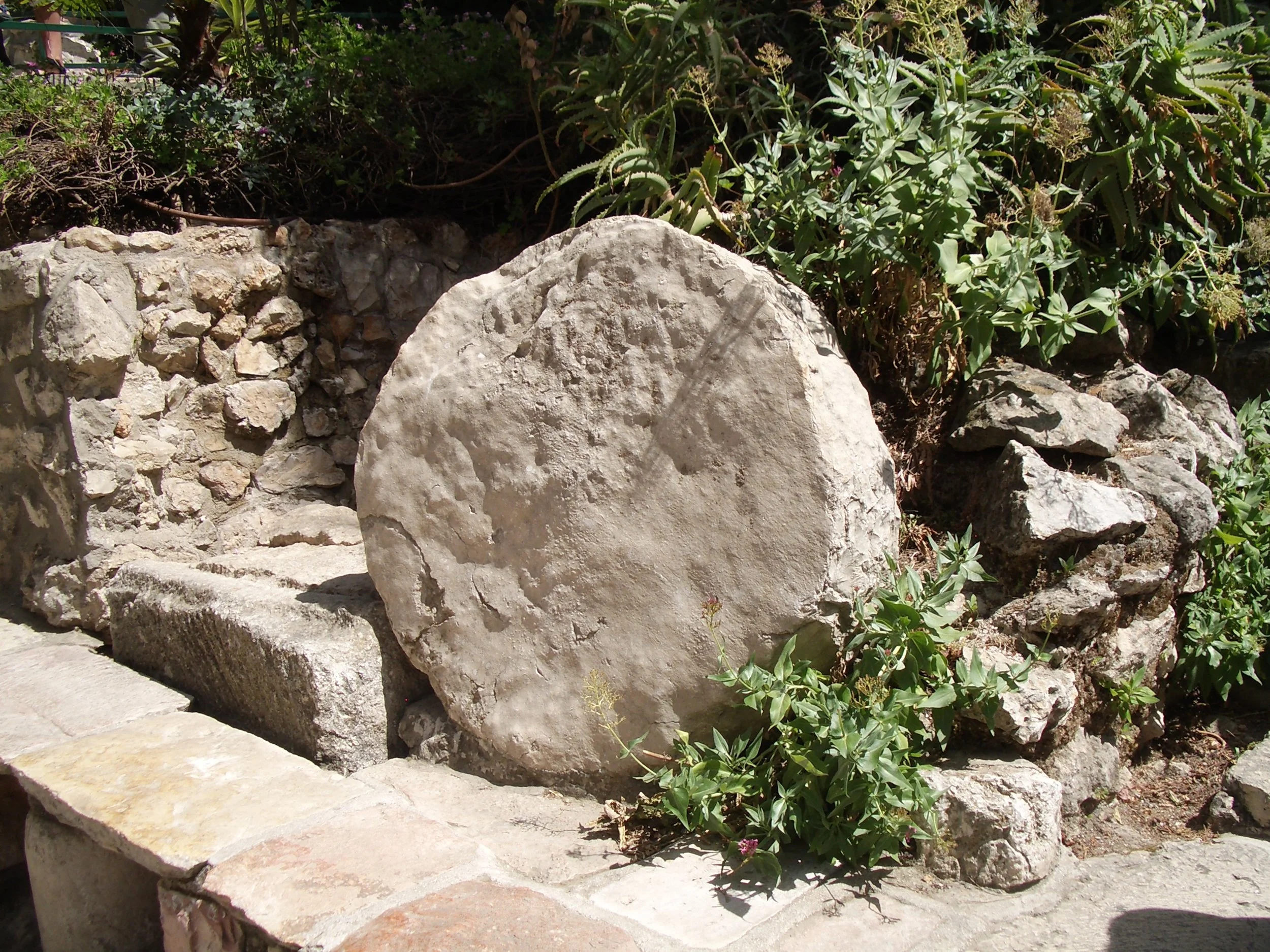 Register now for our November 1-14, 2026 Messianic/Christian Israel Tour!
