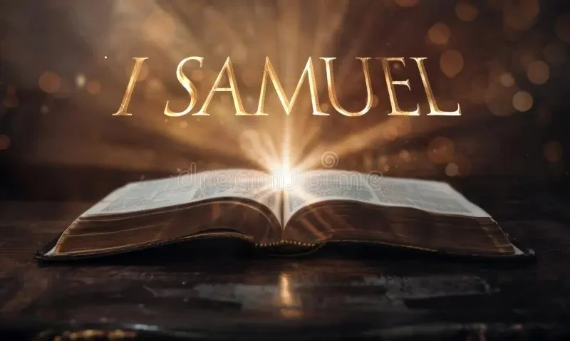 Fall Bibles Begin Soon - Here are some options
