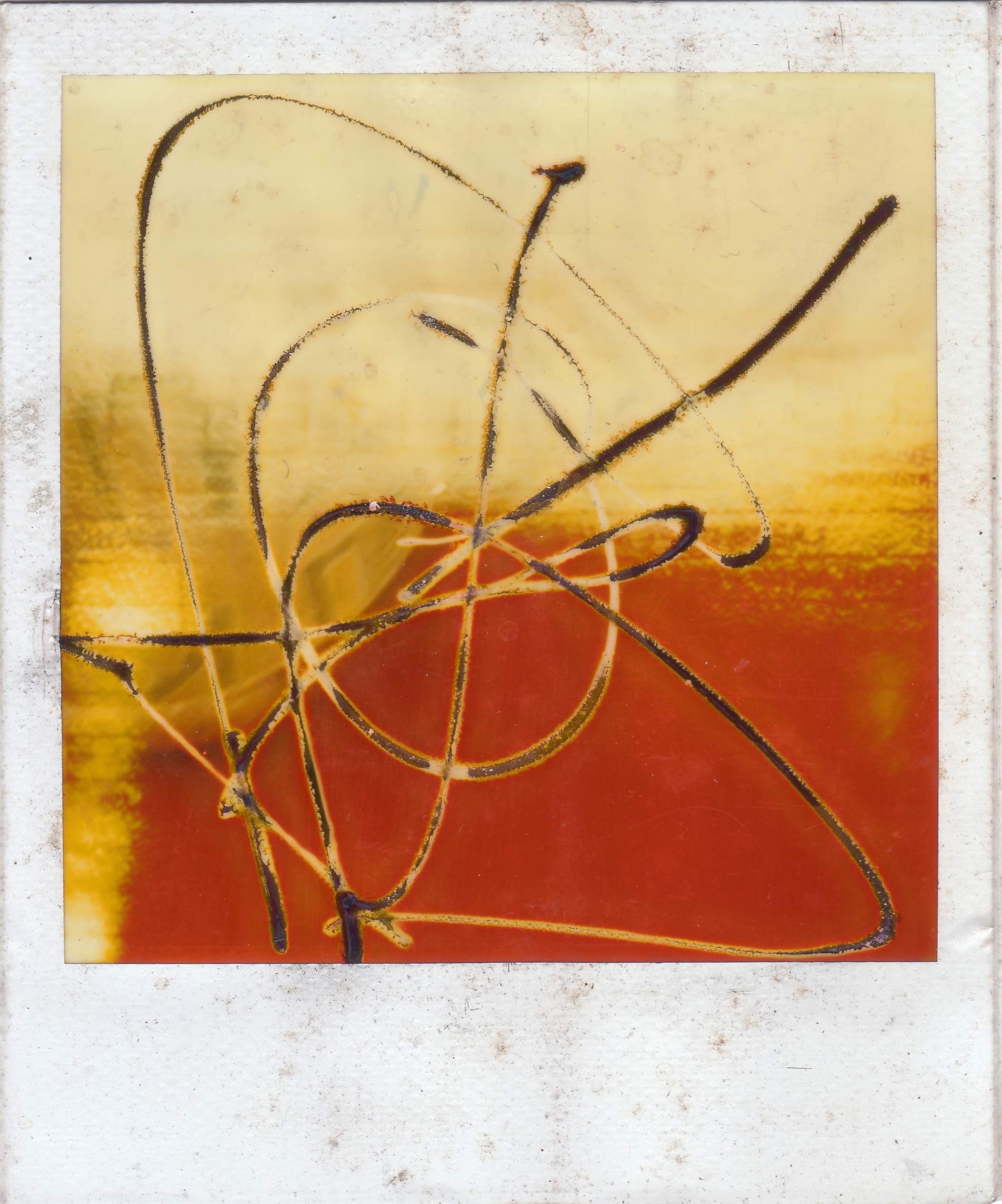 In the Beginning(Partagas Polaroids_2) 1988 ( Partagas Polaroids) ; graphite pencil on developing Polaroid ; 4-1/4 x 3-1/2" Copyright © Tennyson Woodbridge, 1963 to present
