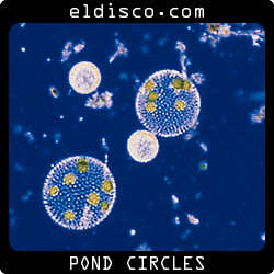 Circular Pond