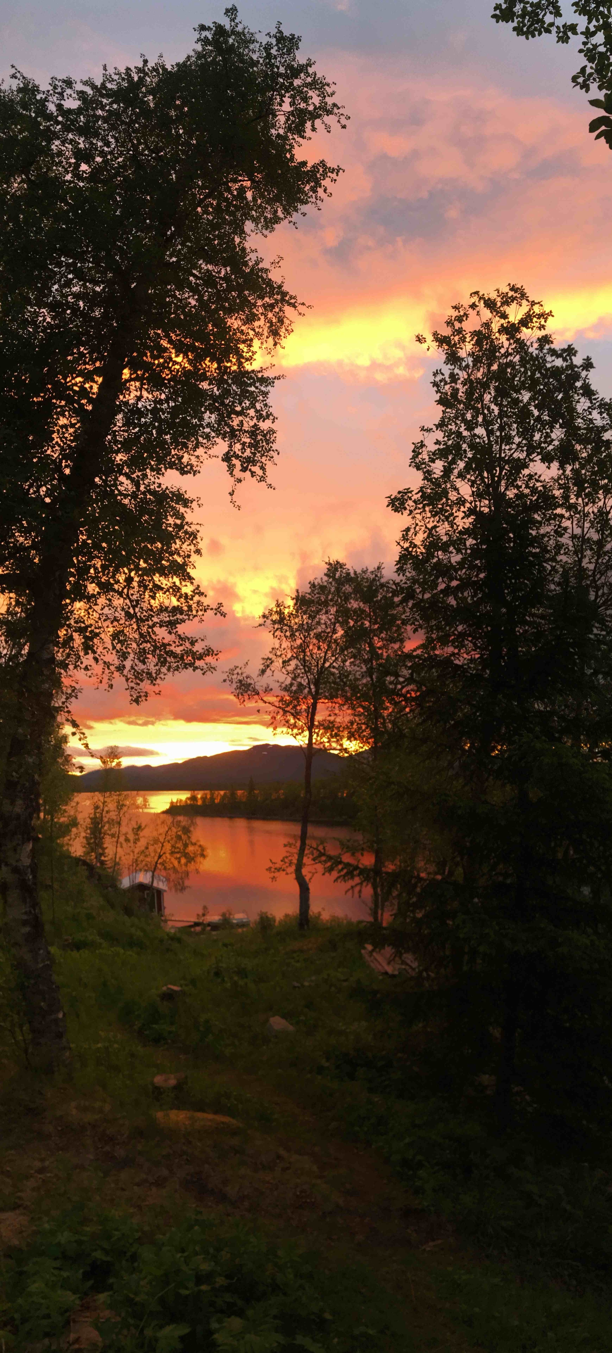 Night Owls of the Summer Solstice Photograph, Ricklundgården, 12:18 am, 21 June 2016 Copyright © Tennyson Woodbridge, 1963 to present