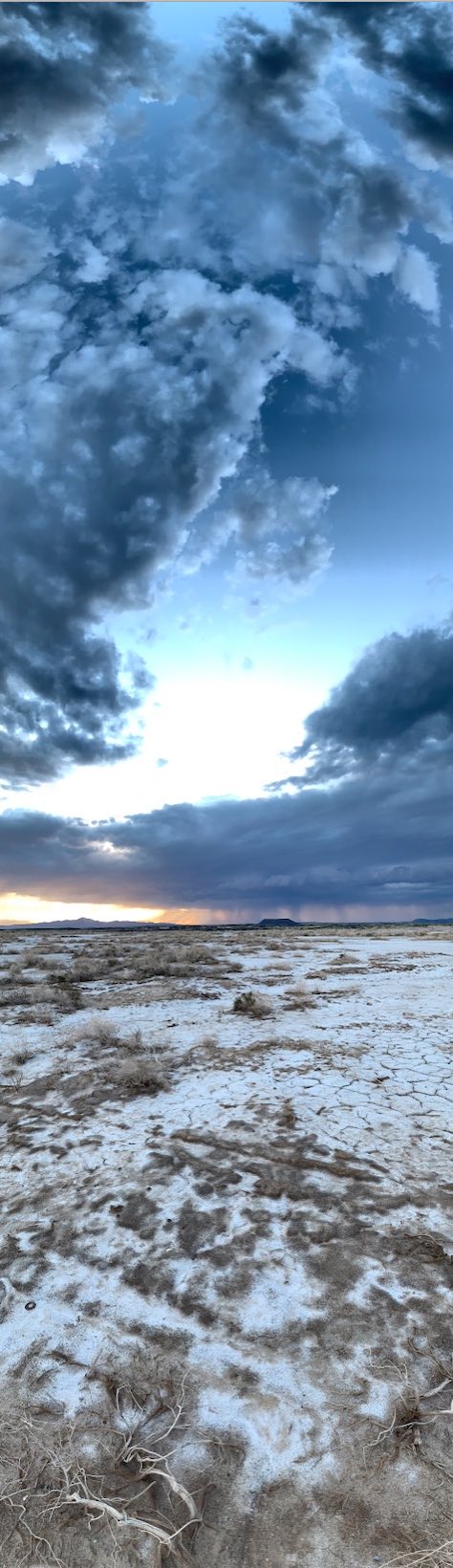 Amboy Photograph, 20 March, 2019 Copyright © Tennyson Woodbridge, 1963 to present
