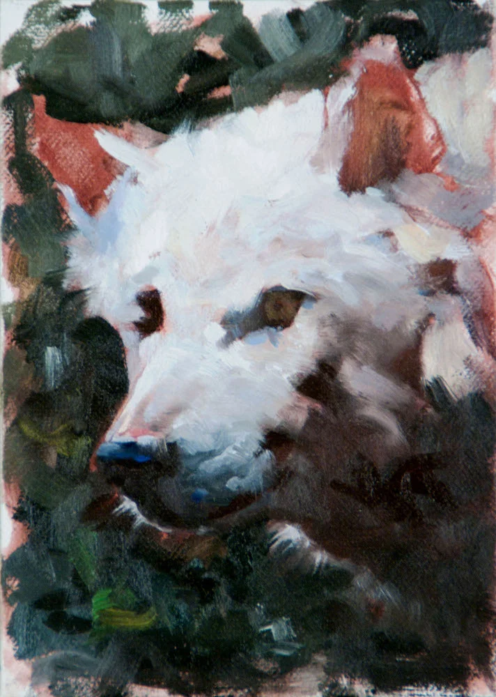 wolf_portrait_s.jpg