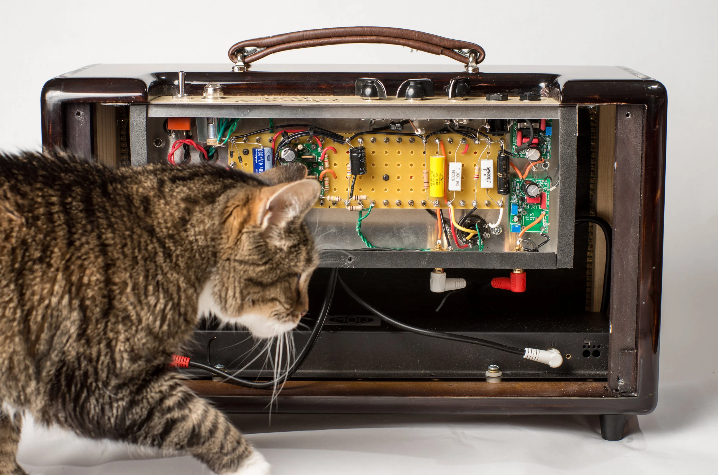 20170112-SonicDudeRanch Amps -PMG_5014.JPG