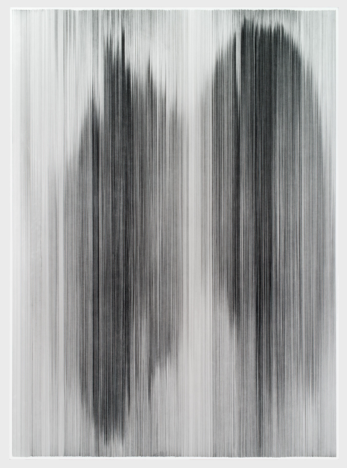 parallel 38 2013 graphite on cotton mat board 60 by 84 inches collection Howard & Melissa Rachofsky, Dallas, TX