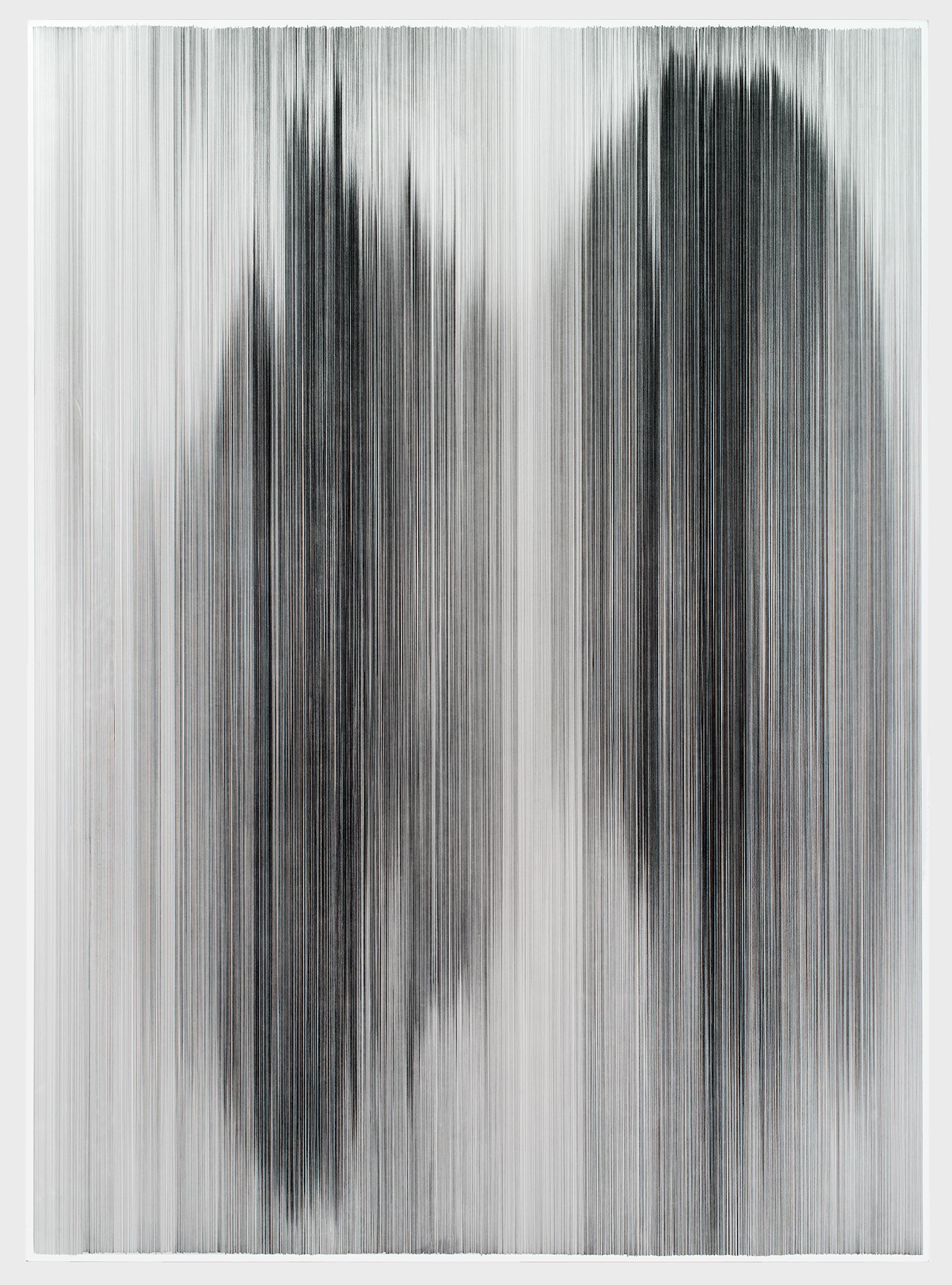    parallel 38   2013 graphite on cotton mat board 84 x 60 inches The Rachofsky Collection, Dallas, Texas 