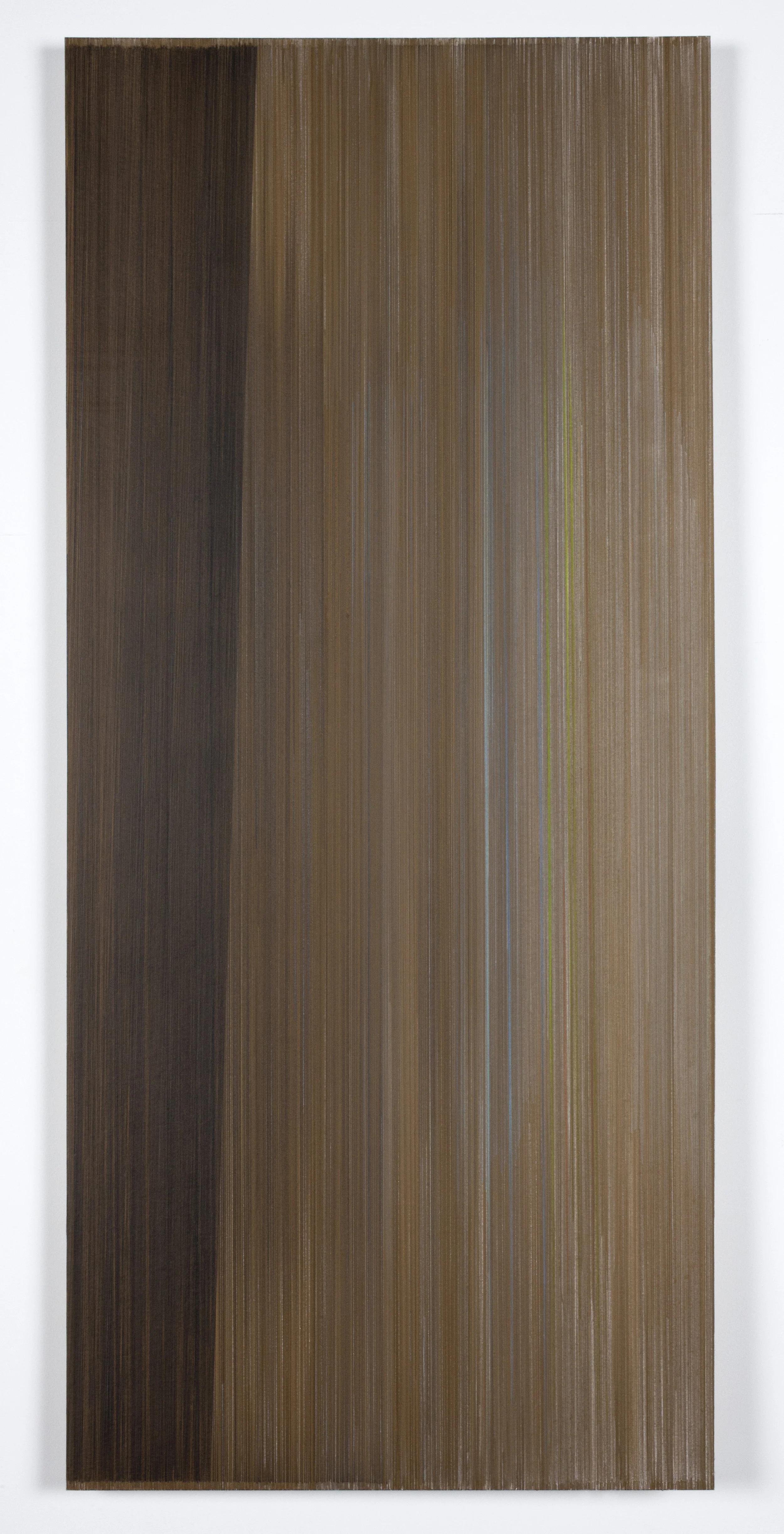 the usual way of things resumed 2016 graphite & colored pencil on mat board 24 by 50 inches (the title of this work comes from Claire-Louise Bennett's book called Pond, page 139)