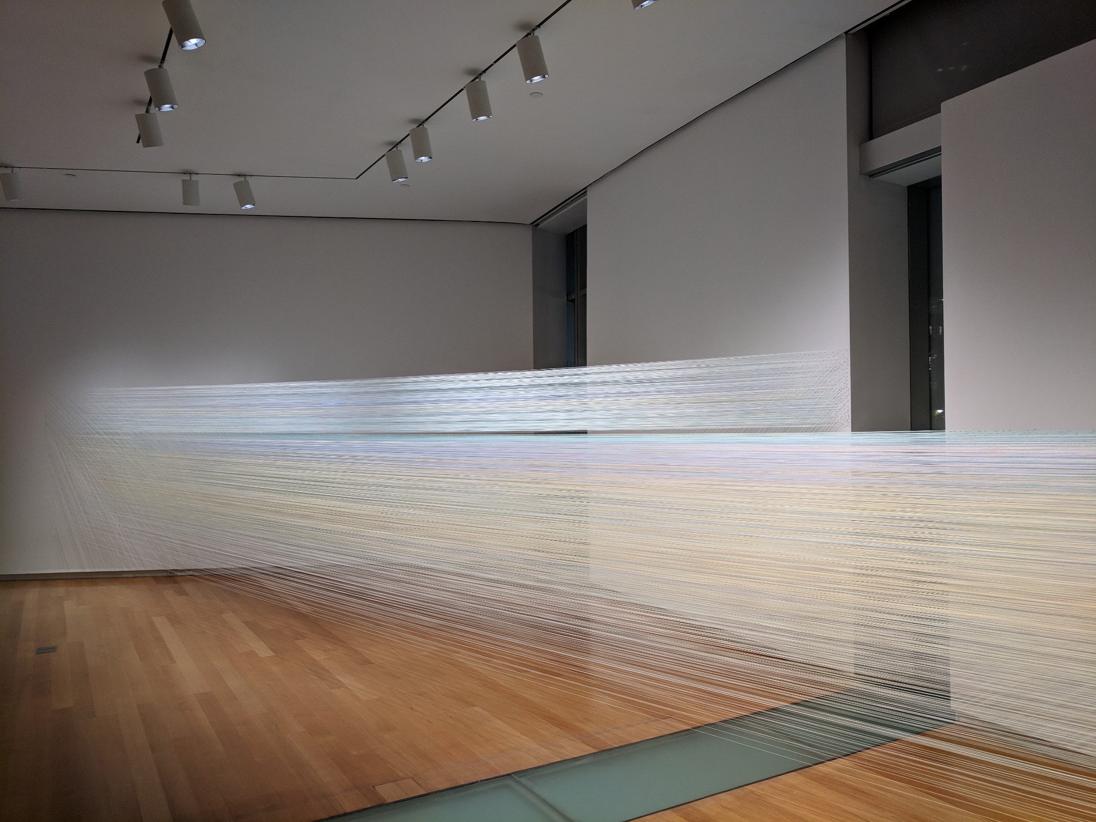     the eye’s level   2018 cotton thread and staples 5 x 56 x 18 feet photograph by Bill Haw (taken at night) 