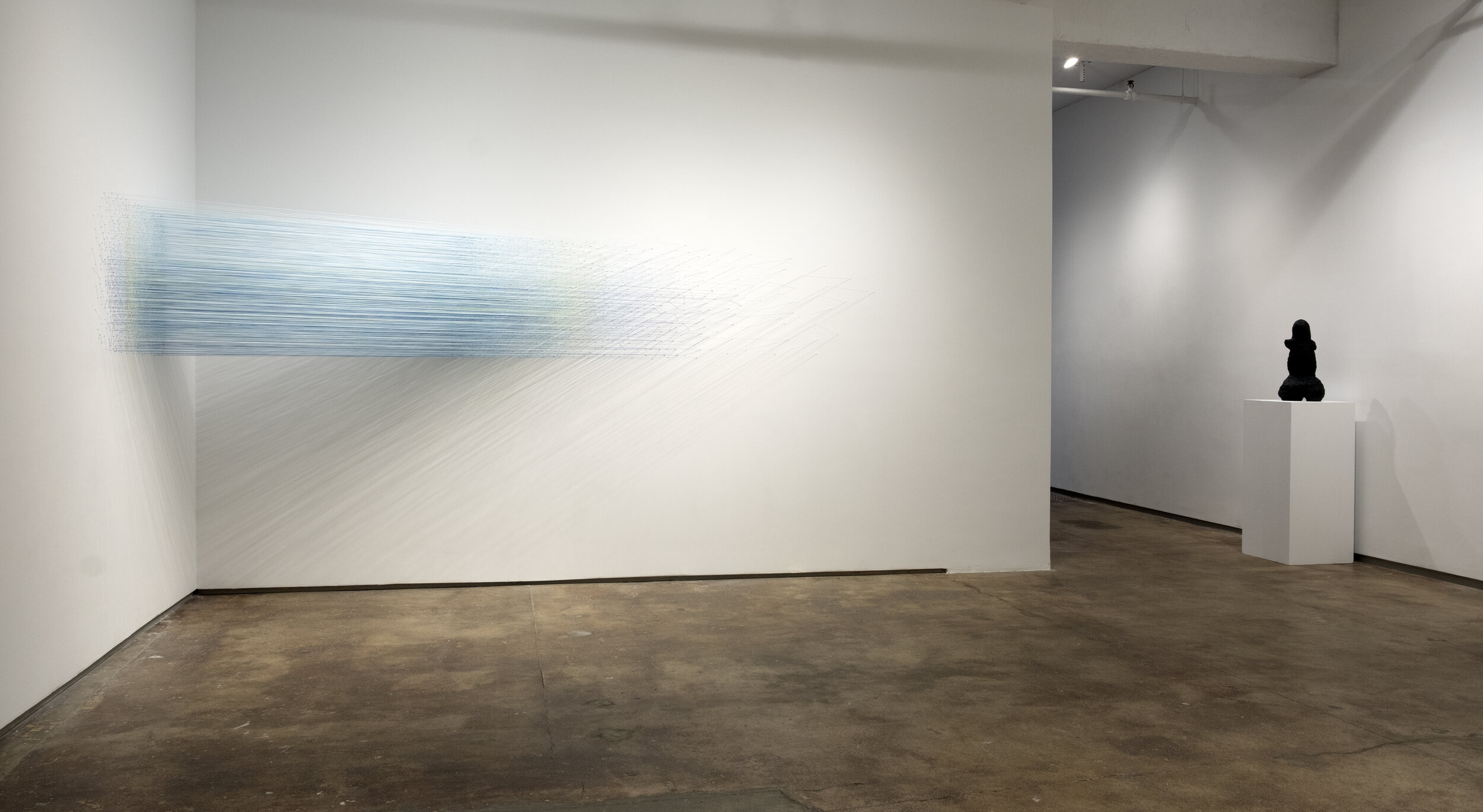    30 birds   2019 cotton thread and staples 2 x 9 x 5 feet photography by Derek Porter  with work by Hope Atherton to the right 