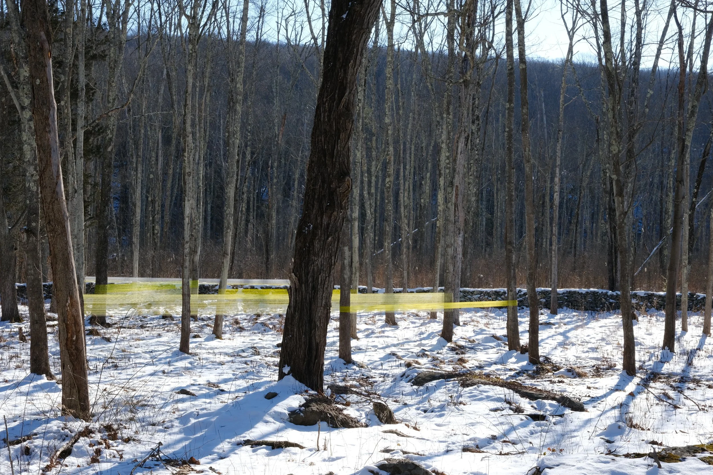 DSCF0545.JPG