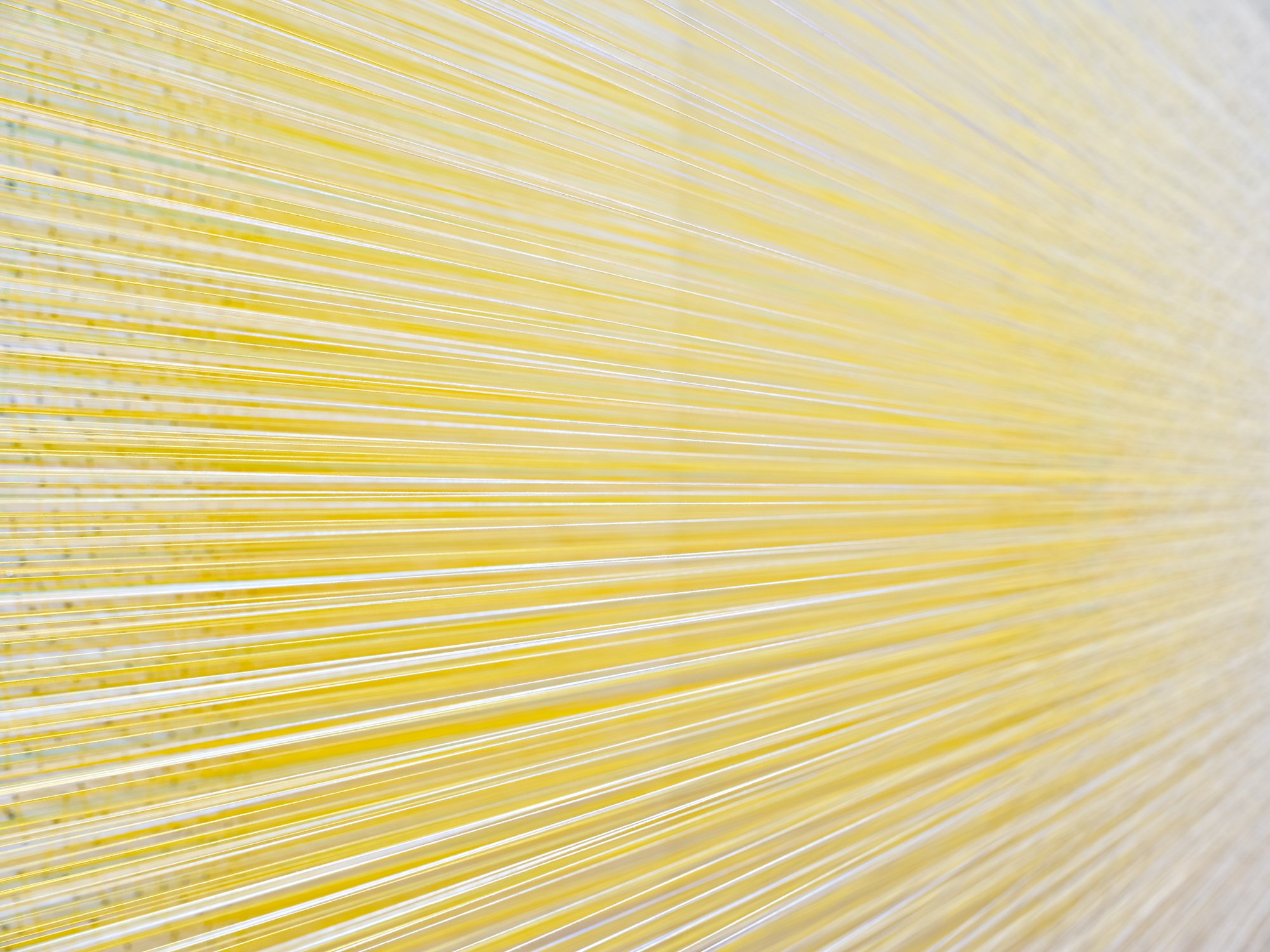 inhaling color 2025 cotton thread and staples 60 x 195 x 43 inches photograph by installshots
