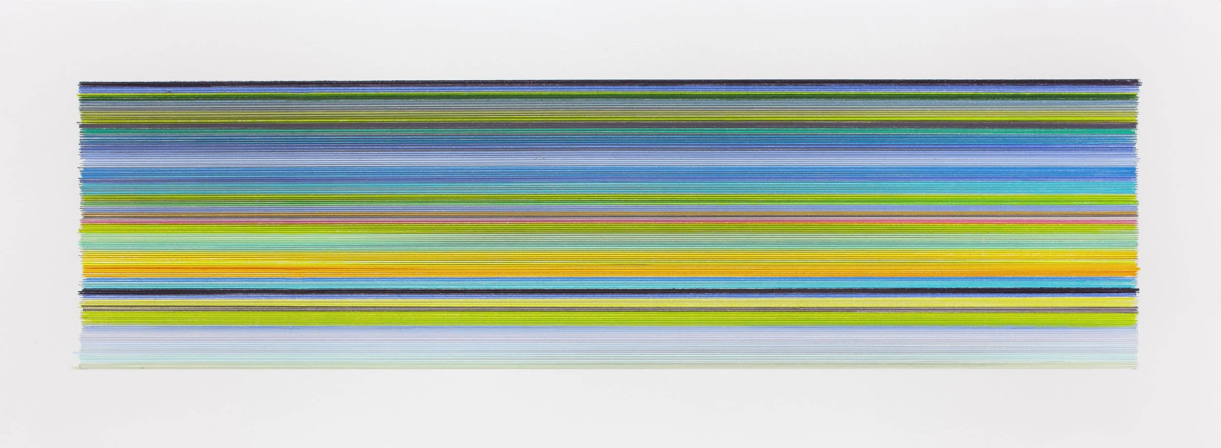    particulars 24   2025 graphite and colored pencil on paper 11 x 30 inches 