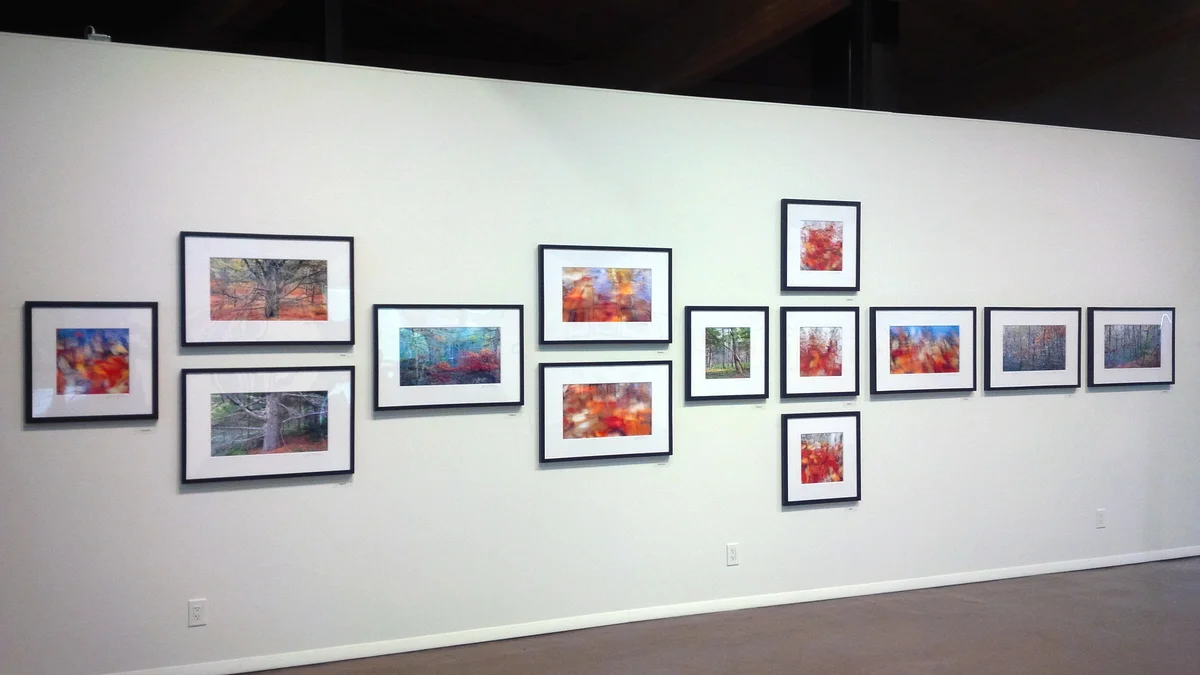 The Art Complex Museum, Untamed Forest (right wall view)