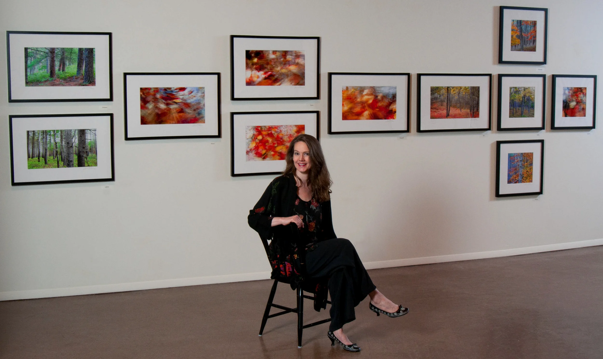 Solo Exhibition, Art Complex Museum, 2015 (photo: Paul Camello)