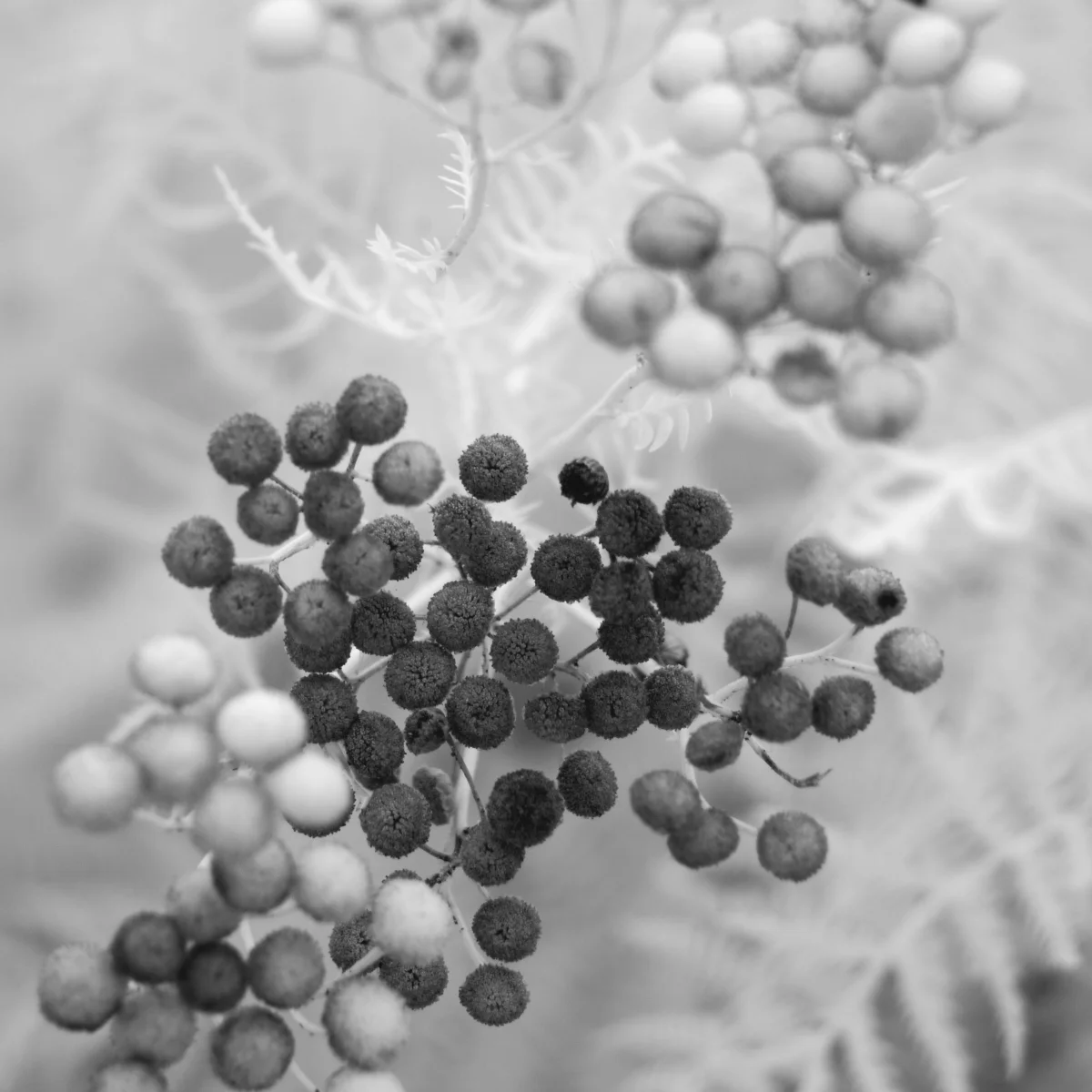 P1460074 Passage Small.jpg