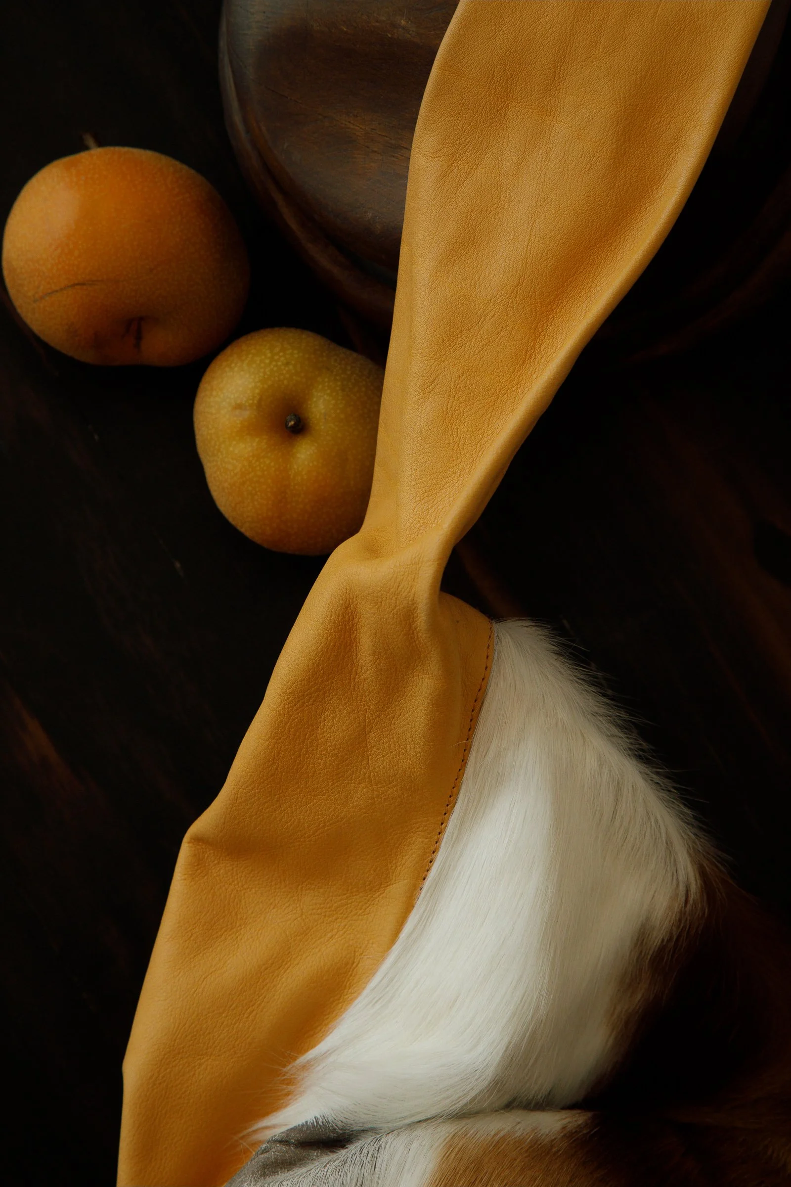 _34A4537.jpg