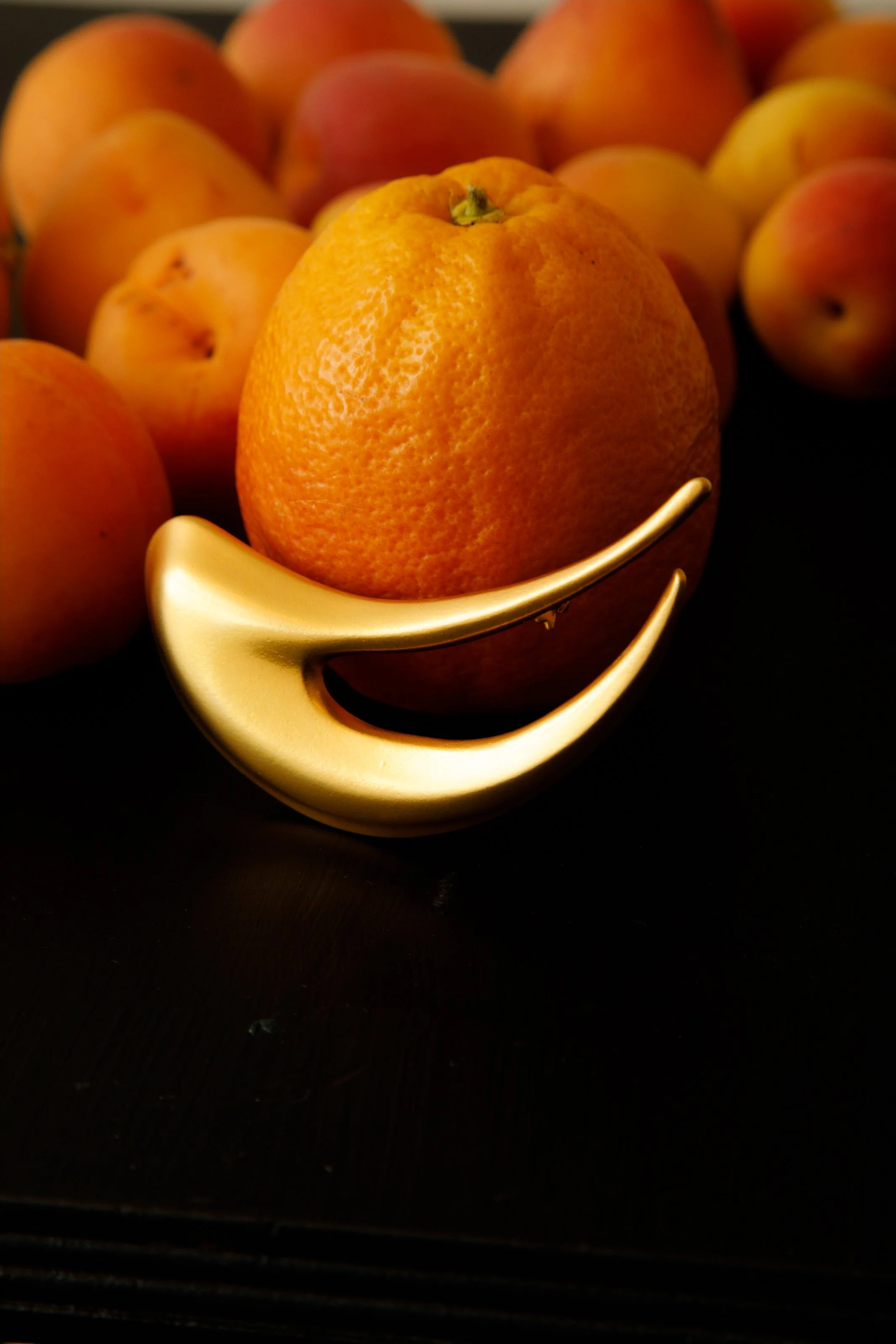 _34A0334.jpg