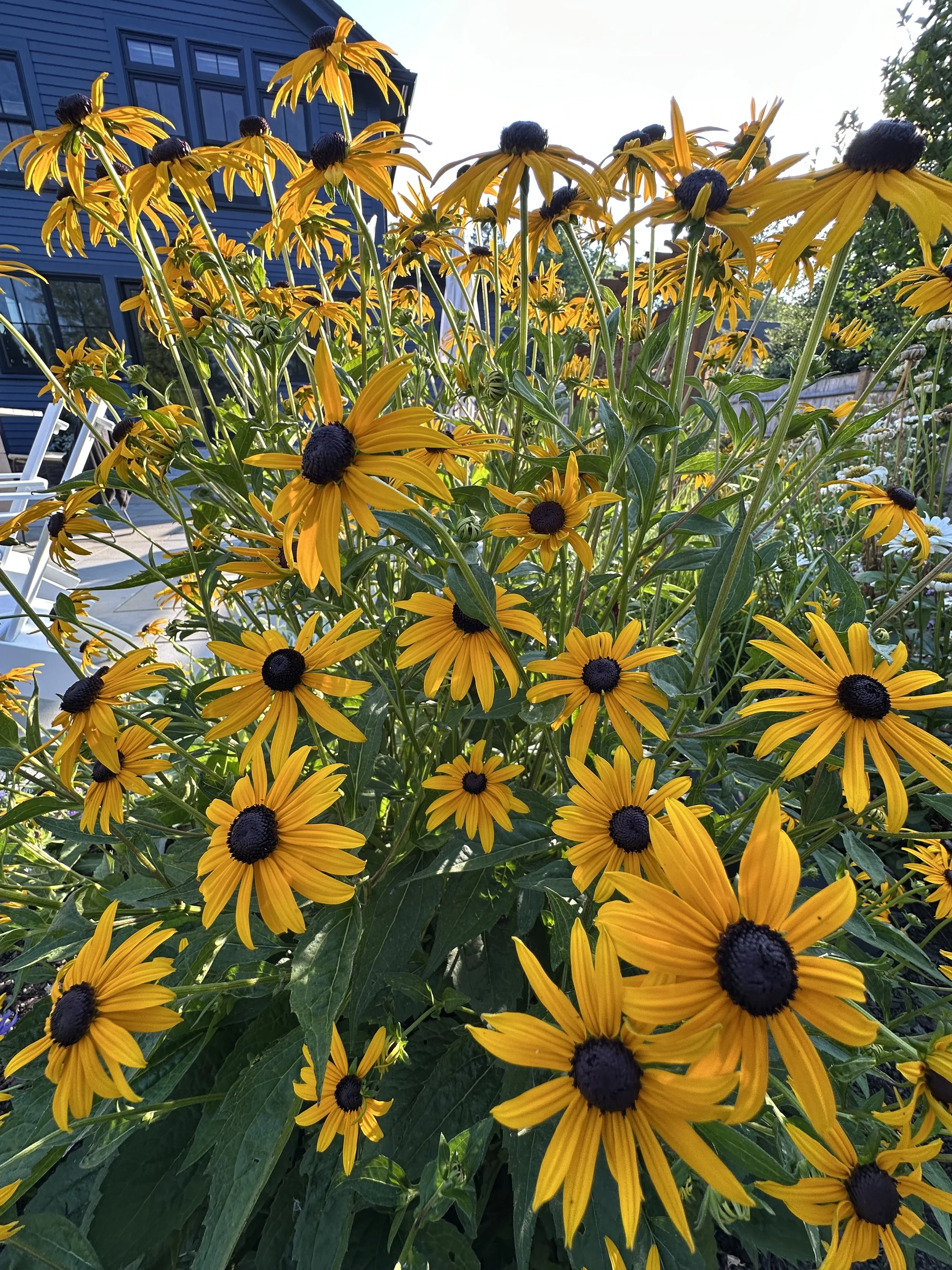 IMG_0044.jpeg