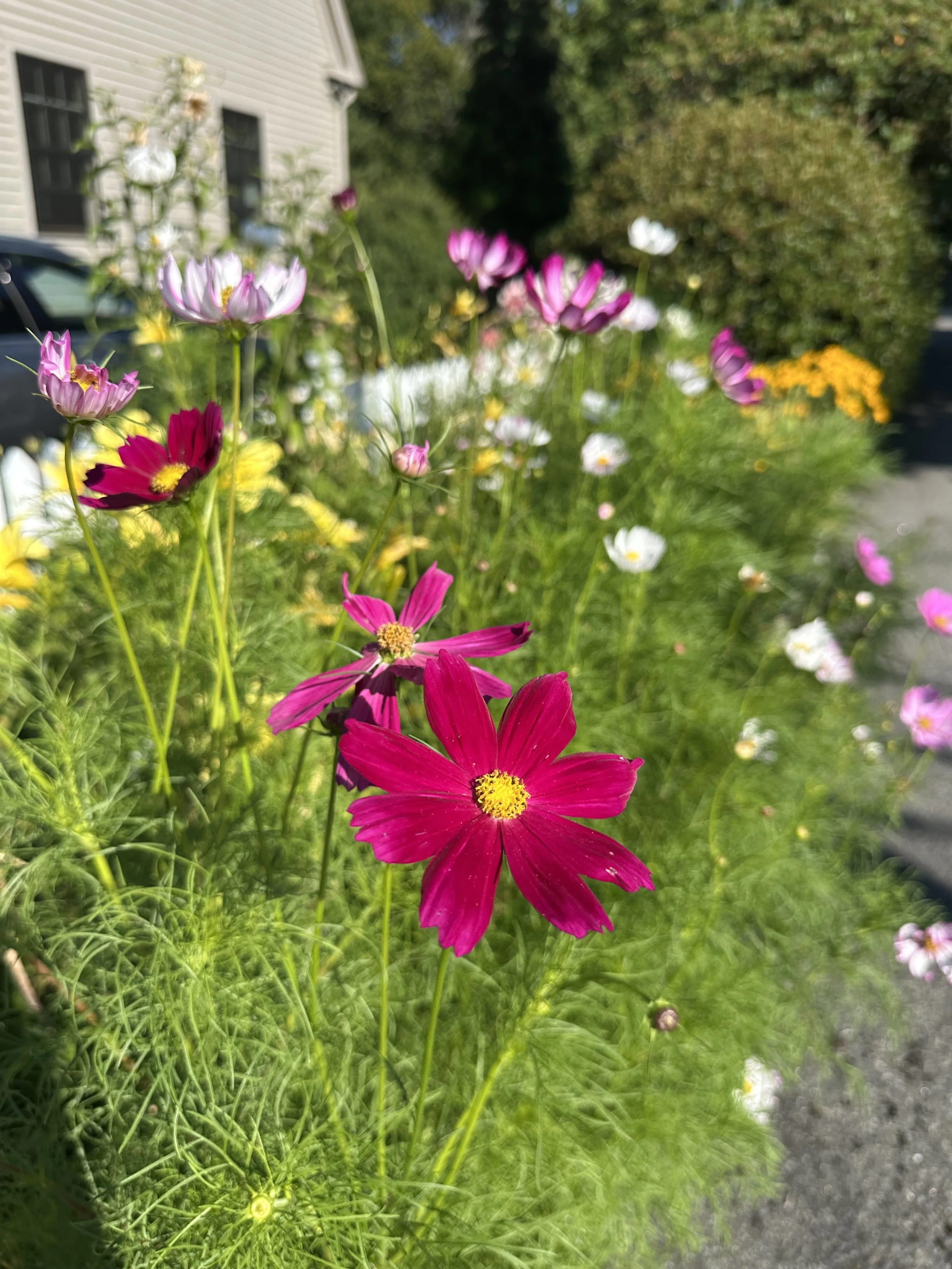 IMG_0521.jpeg