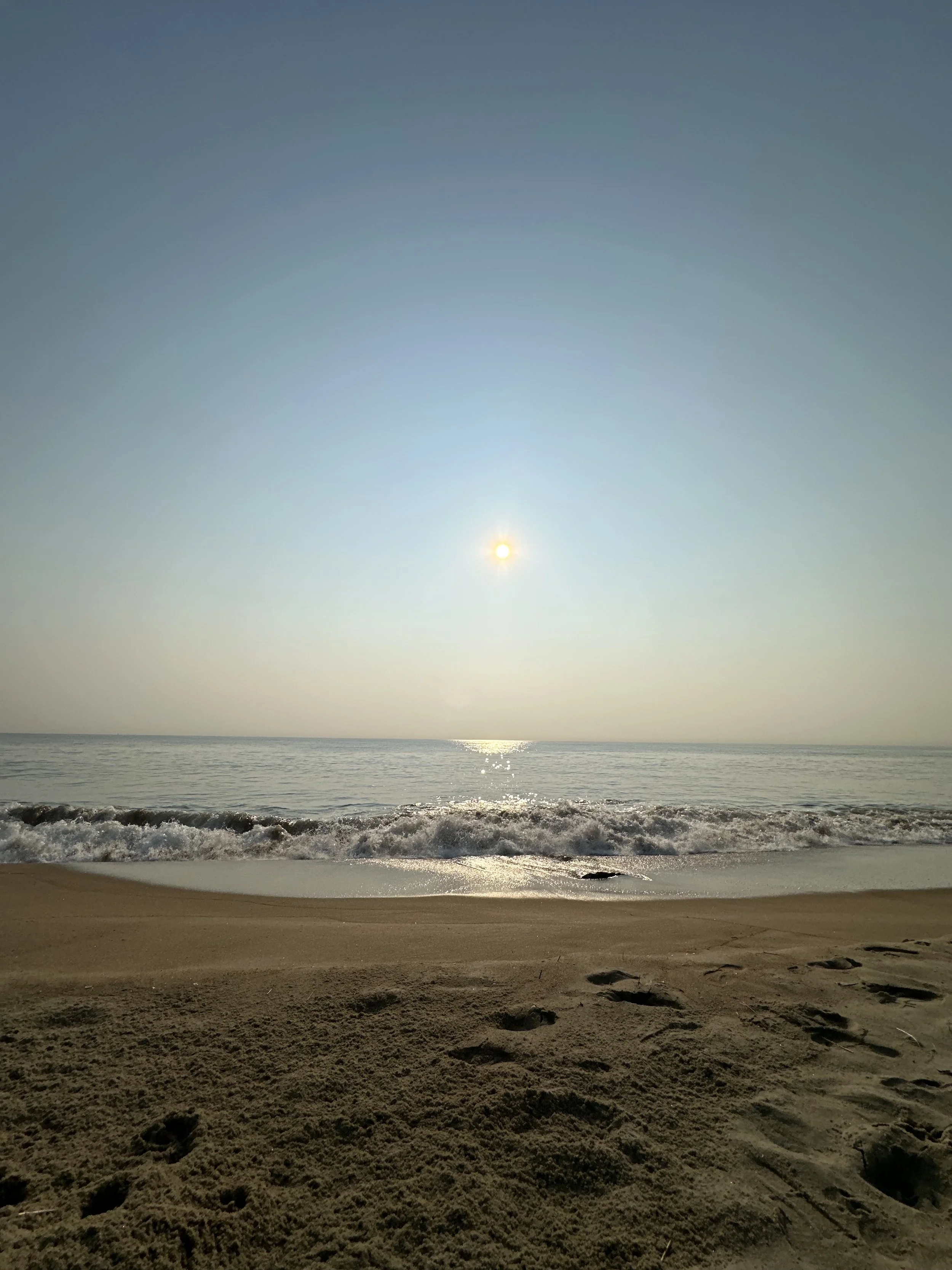 IMG_0558.jpeg