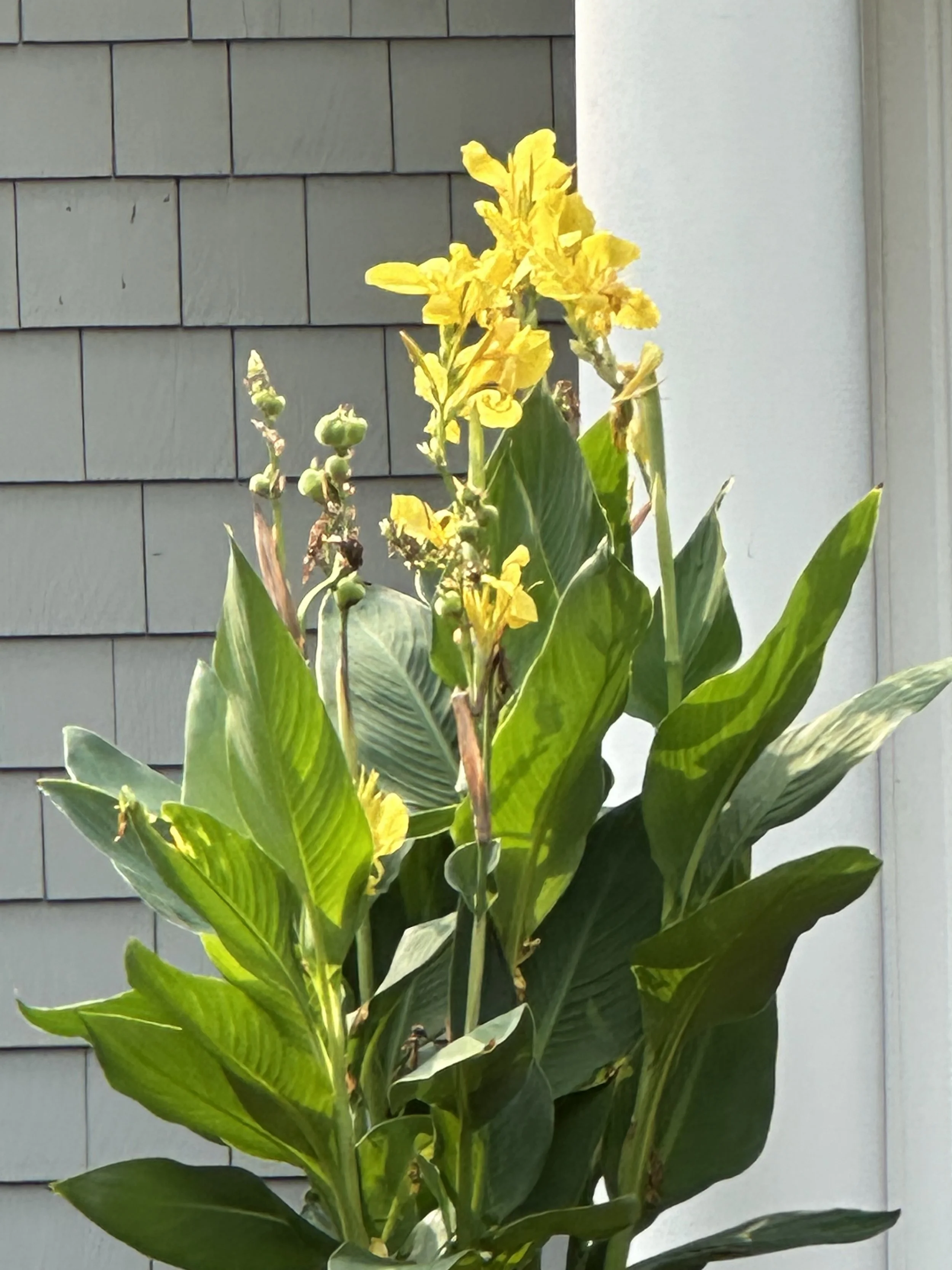IMG_0726.jpeg