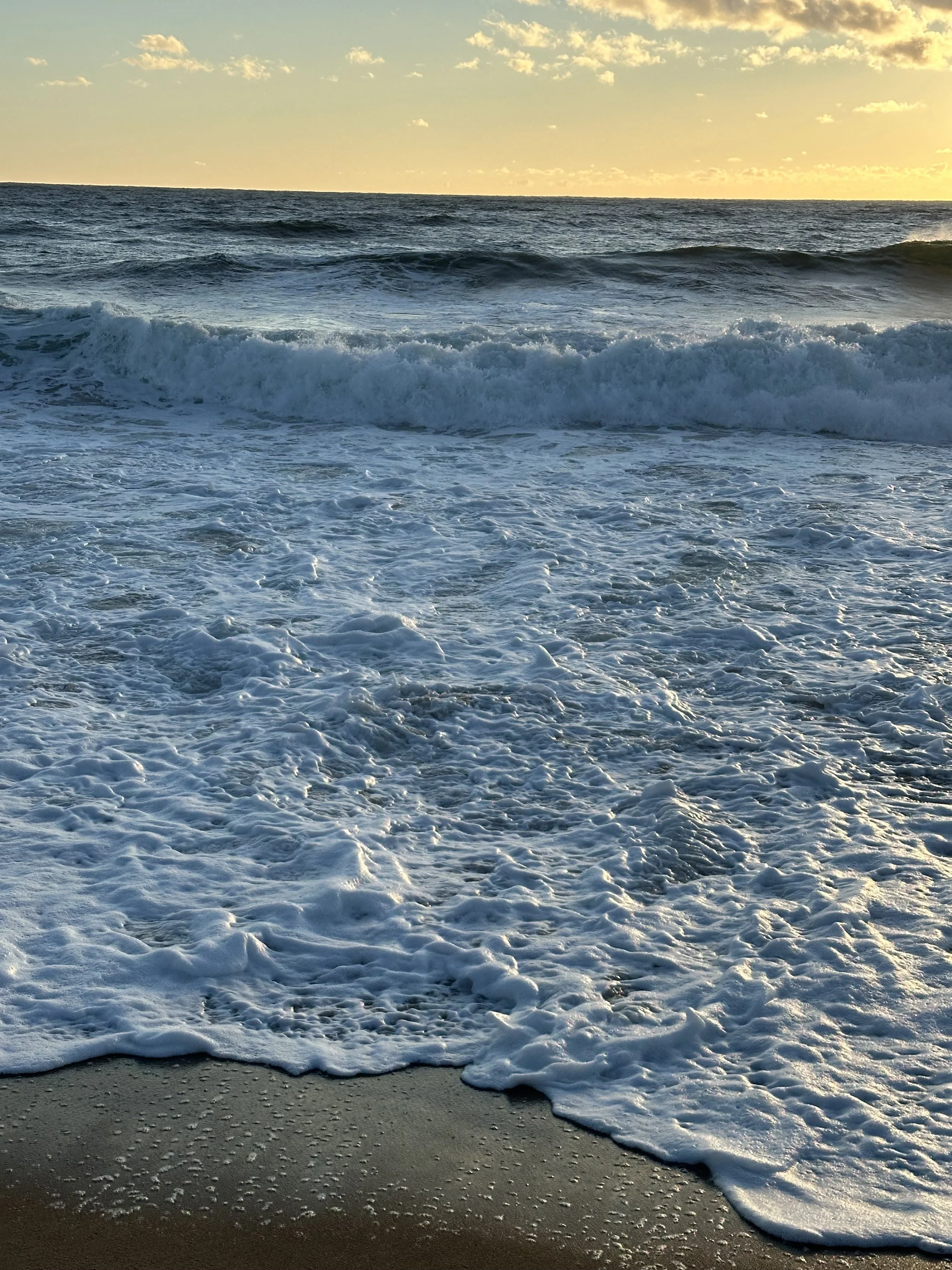 IMG_6045.jpeg