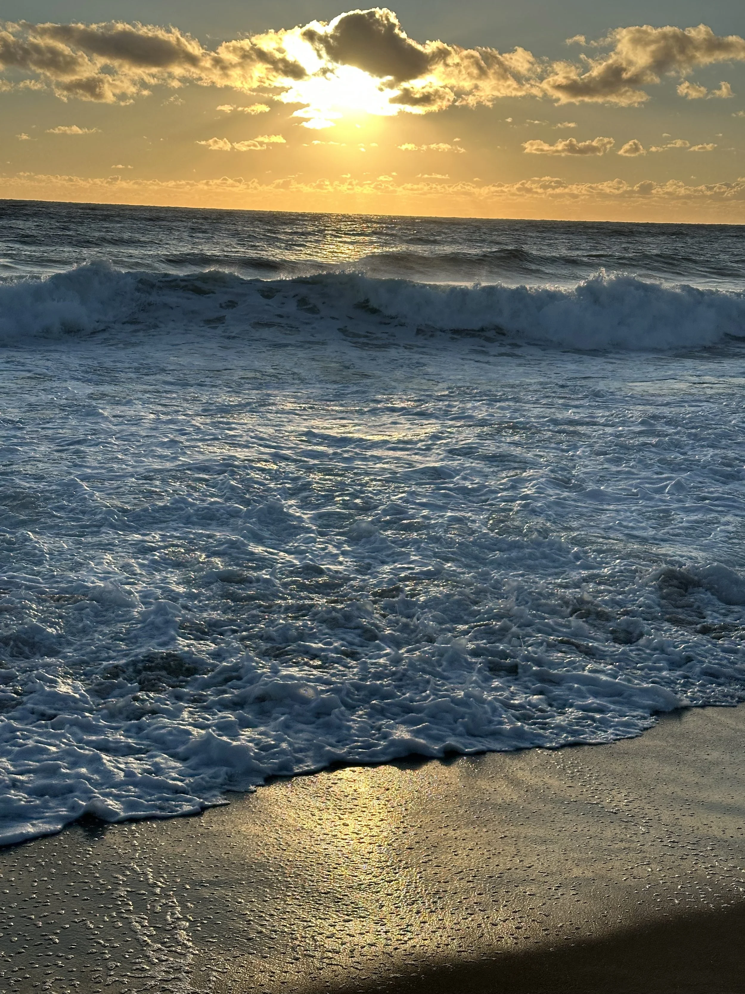 IMG_6047.jpeg