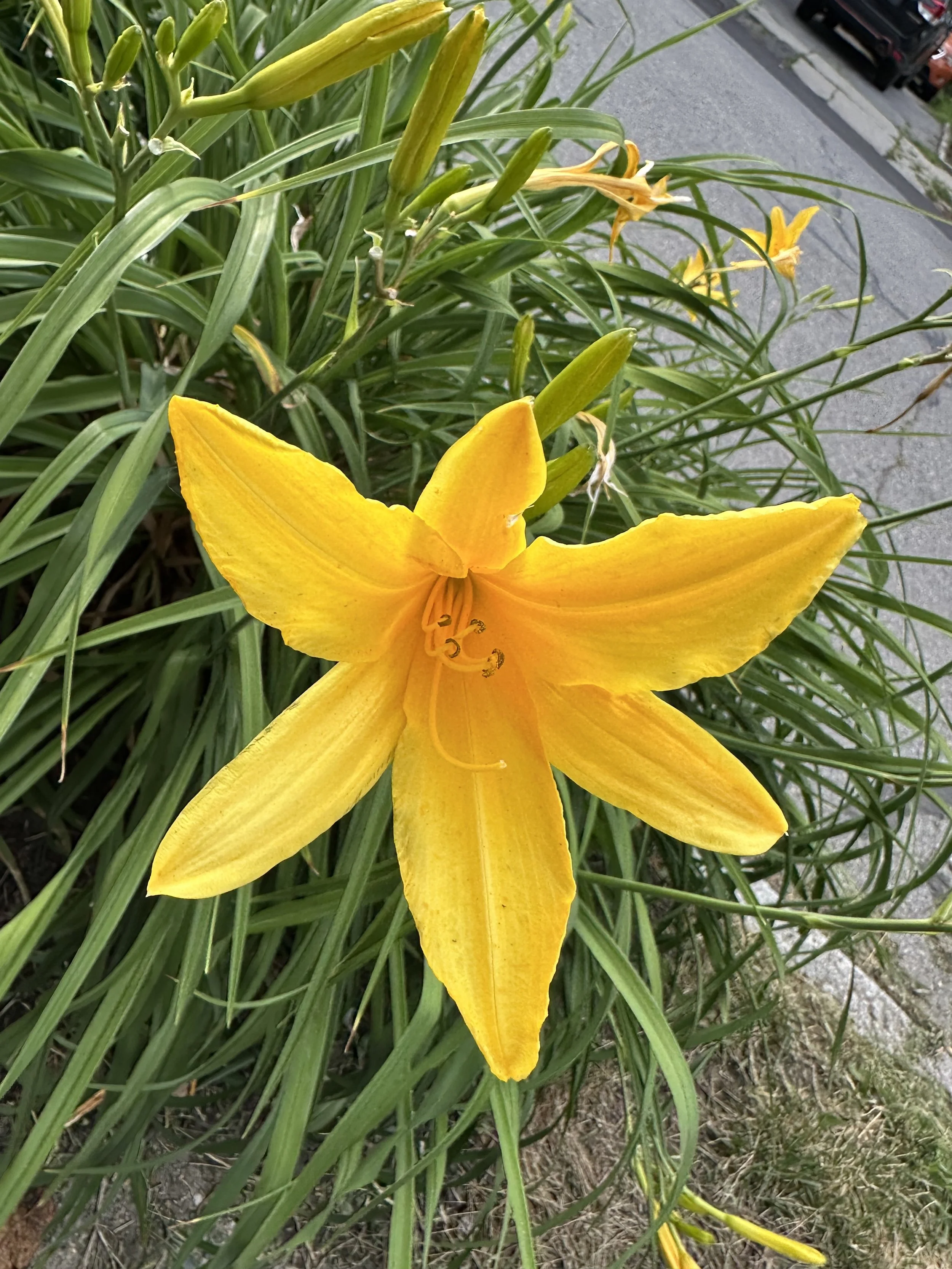 IMG_9430.jpeg