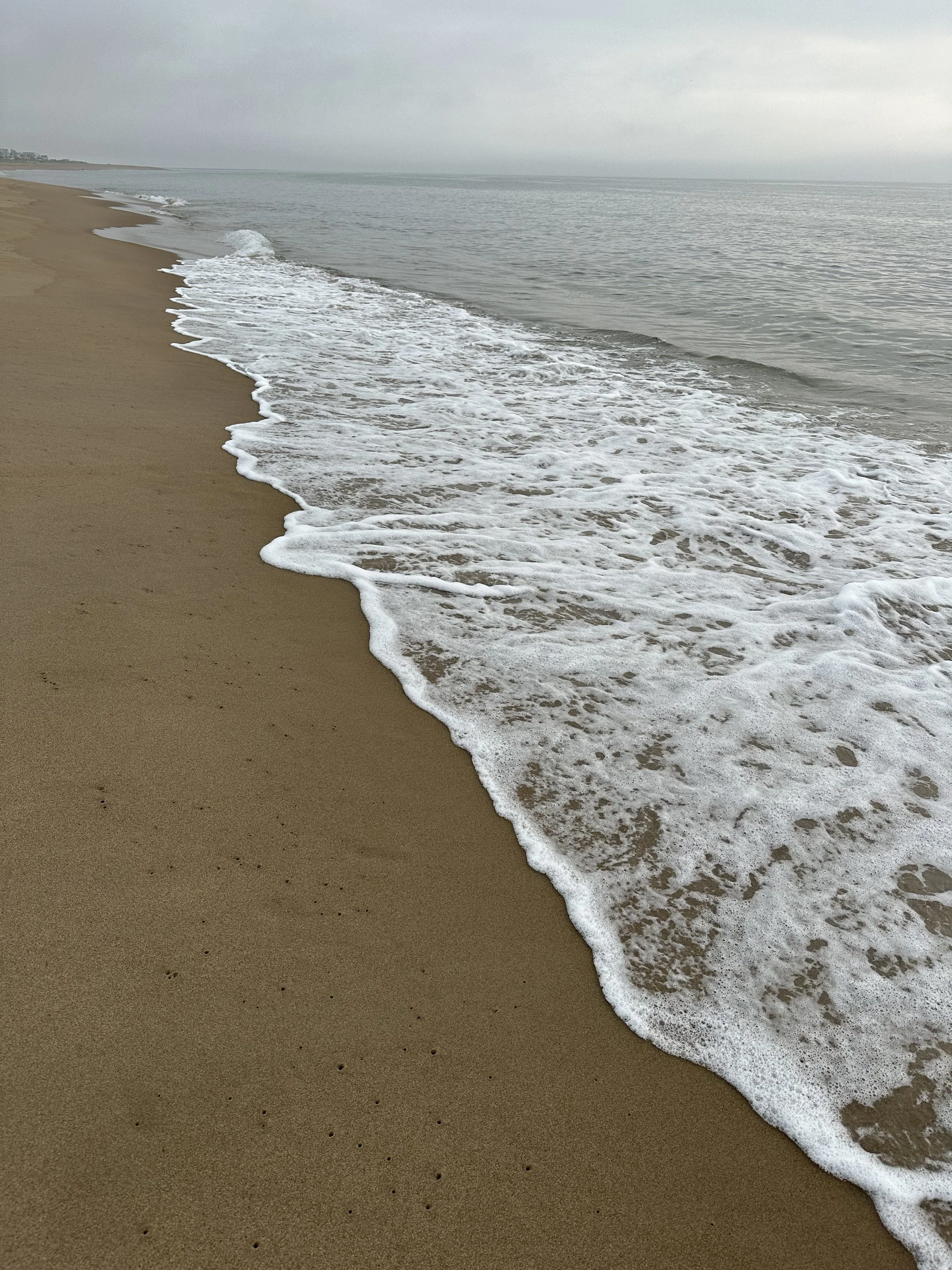 IMG_9515.jpeg