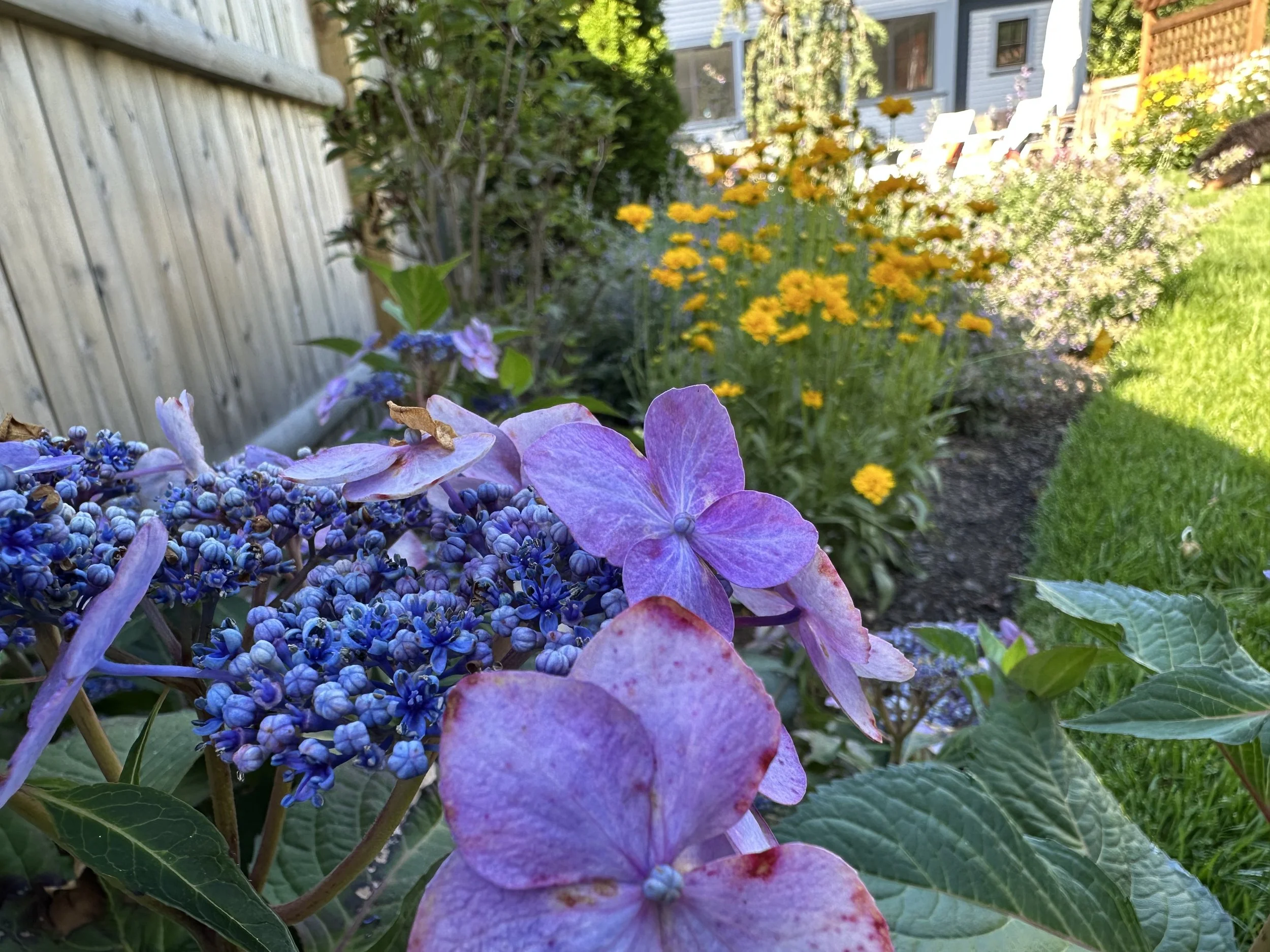 IMG_9642.jpeg