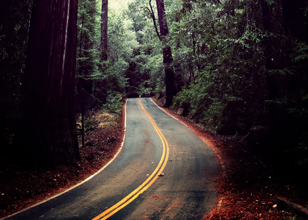 Destination: Sequoia & Kings Canyon National Parks