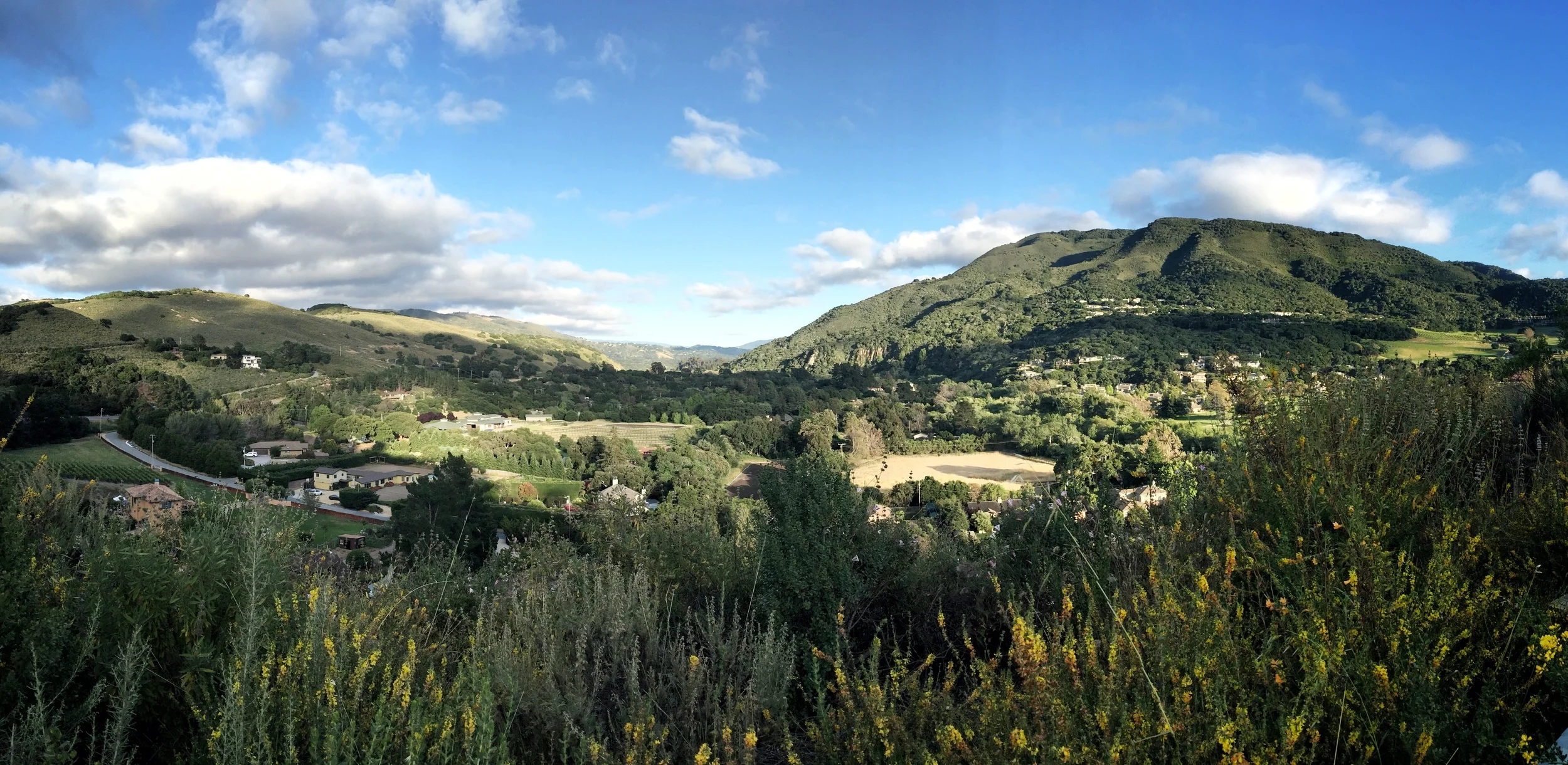 Things to Do in Monterey California