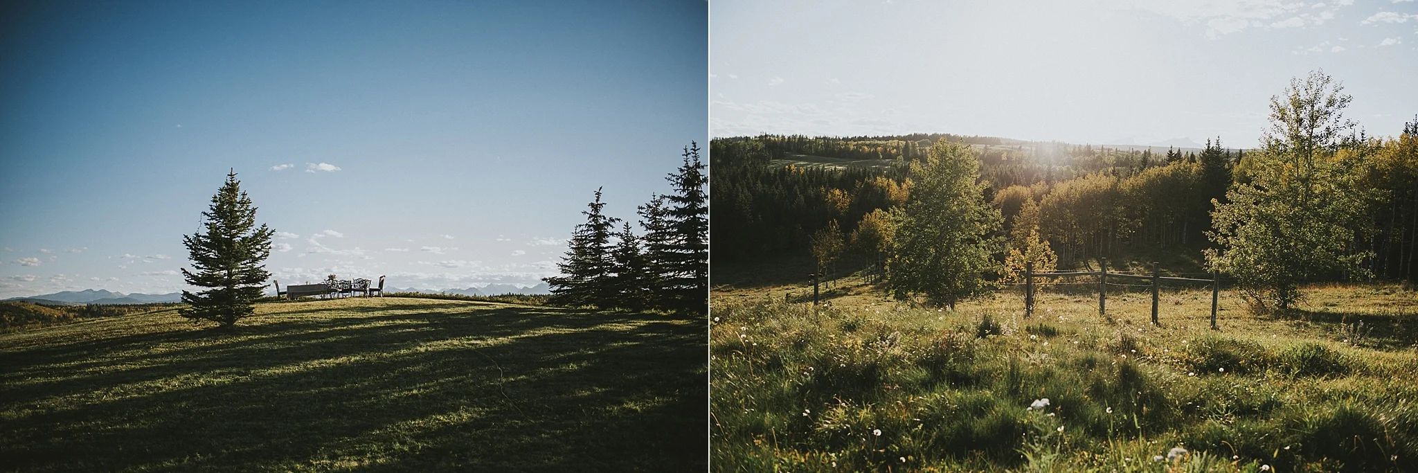 elopement kananaskis alberta field view