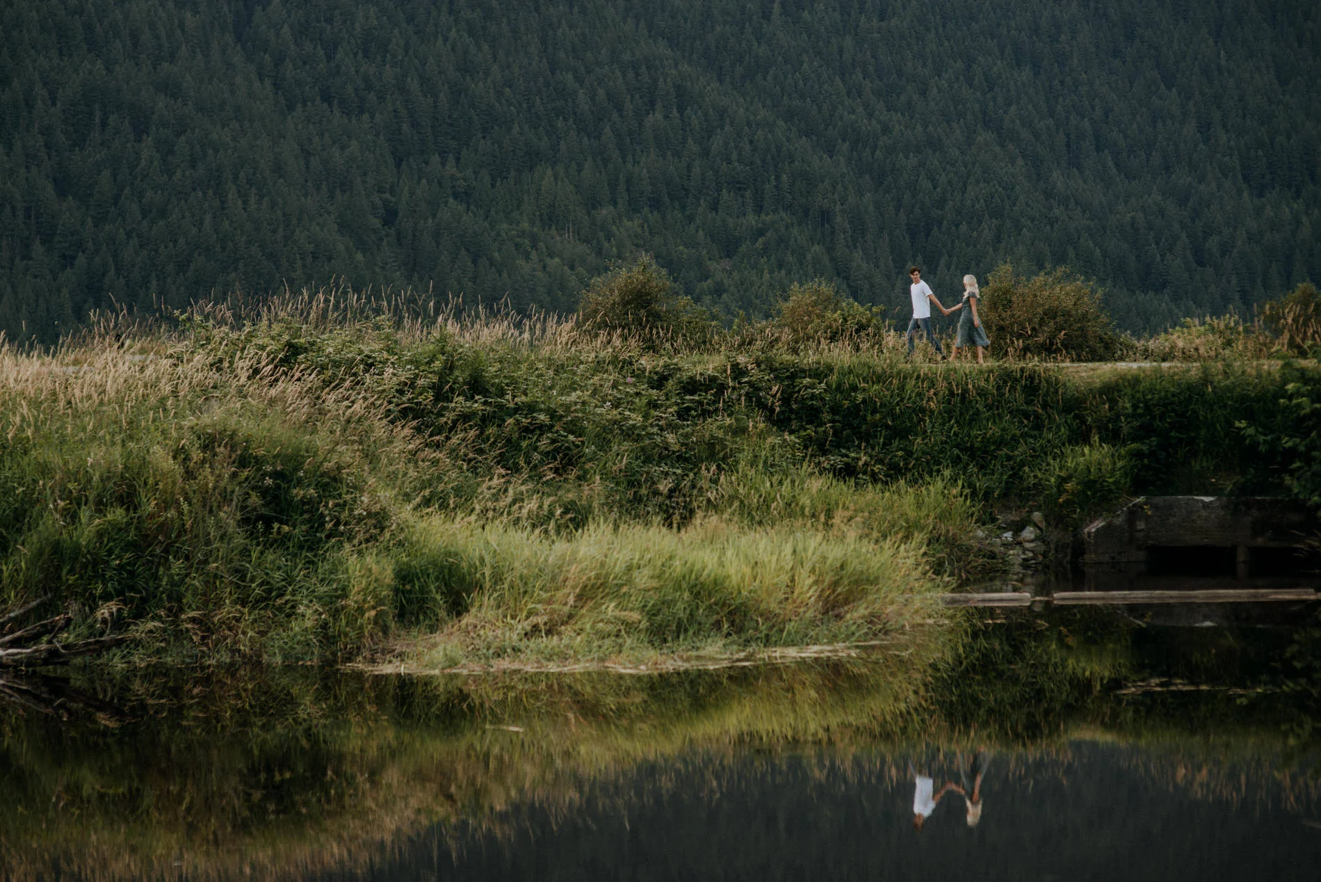 pitt lake maple ridge engagement